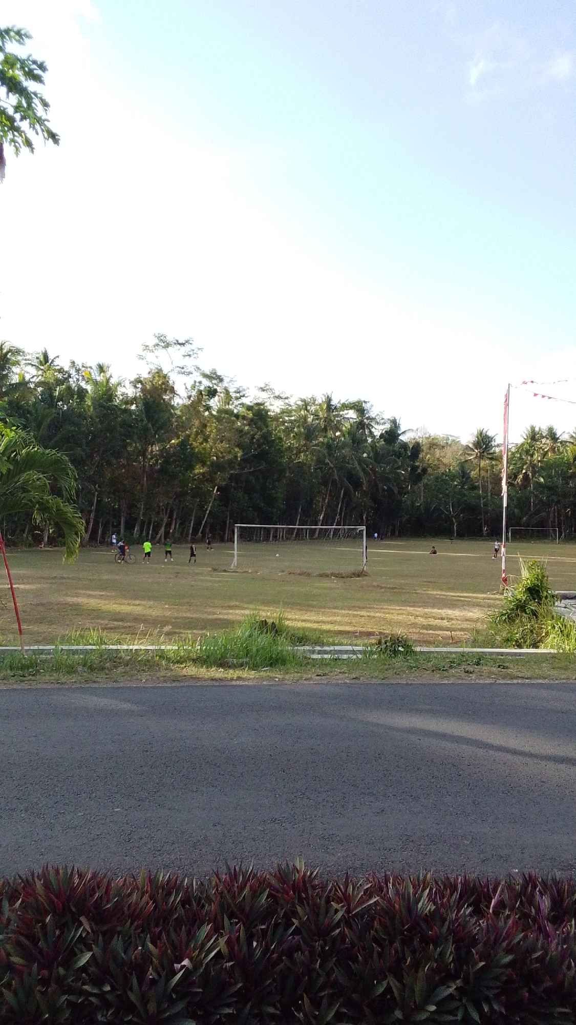 The image depicts a wide, grassy field with two soccer goals visible. Several individuals are scattered across the field, engaged in activities. In the foreground, a paved road runs horizontally, bordered by a line of lush, dark green and reddish-purple foliage. Beyond the field, a dense line of palm trees and other vegetation forms a natural backdrop. The sky above is a pale blue with hints of white clouds. The overall scene suggests an outdoor recreational area in a tropical or subtropical environment. The specific location is identified as Cintaratu, Indonesia.
