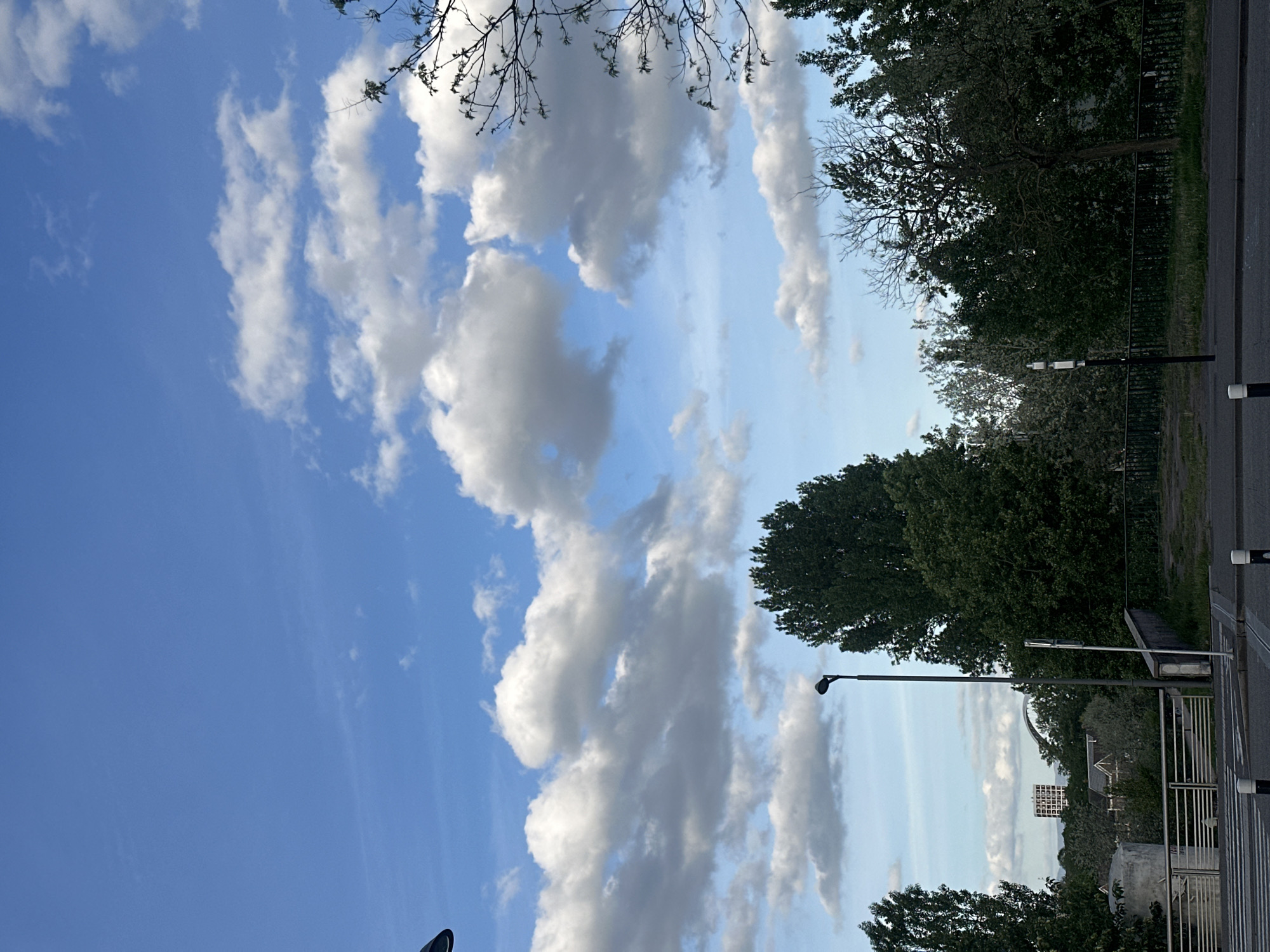 The image shows a view of Strasbourg, France, with a focus on the sky and trees. A bright blue sky fills most of the frame, dotted with fluffy white clouds. A few tree branches are visible at the top of the frame. Below the sky, various trees of different shades of green are present, partially obscuring some buildings in the distance. A lamppost is visible between the trees. A section of what appears to be a fence or railing runs along the right side of the frame, adjacent to a paved area.