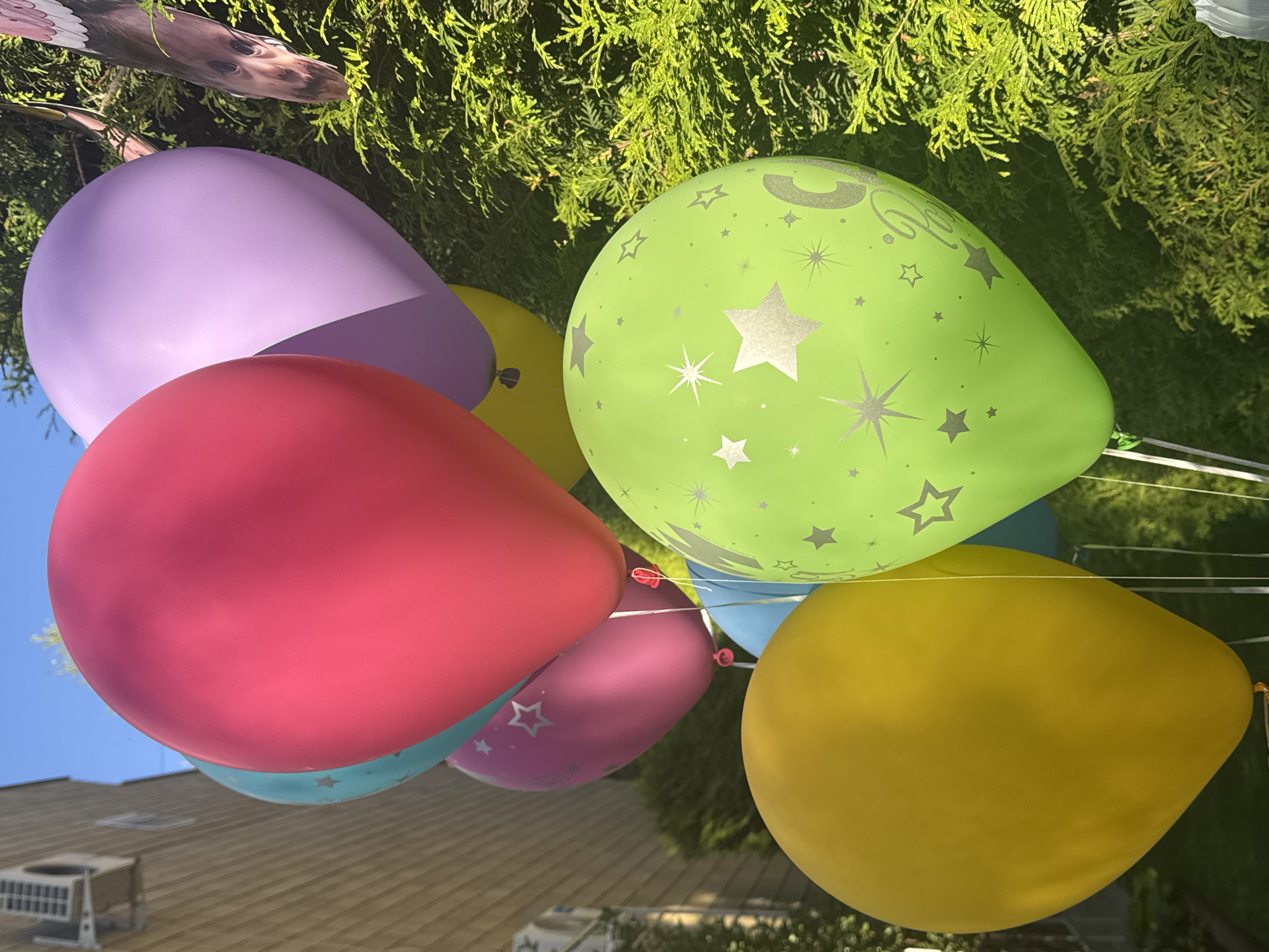 A cluster of colorful balloons is floating outdoors, bathed in bright sunlight. The balloons are of various colors: yellow, bright pink, lavender, teal, and lime green. The lime green balloon has silver star and swirl patterns printed on it, and appears to have some text or numbers visible. In the background, a light brown building with an air conditioning unit is visible on the left, and dense green foliage, likely a hedge or tree, is on the right. A portion of a cardboard cutout with a human face is also visible behind the balloons, partially obscured by the greenery. The image appears to be taken on a clear, sunny day with a blue sky overhead. No individuals are clearly visible interacting with the balloons. The overall impression is of a festive outdoor scene, possibly a celebration.