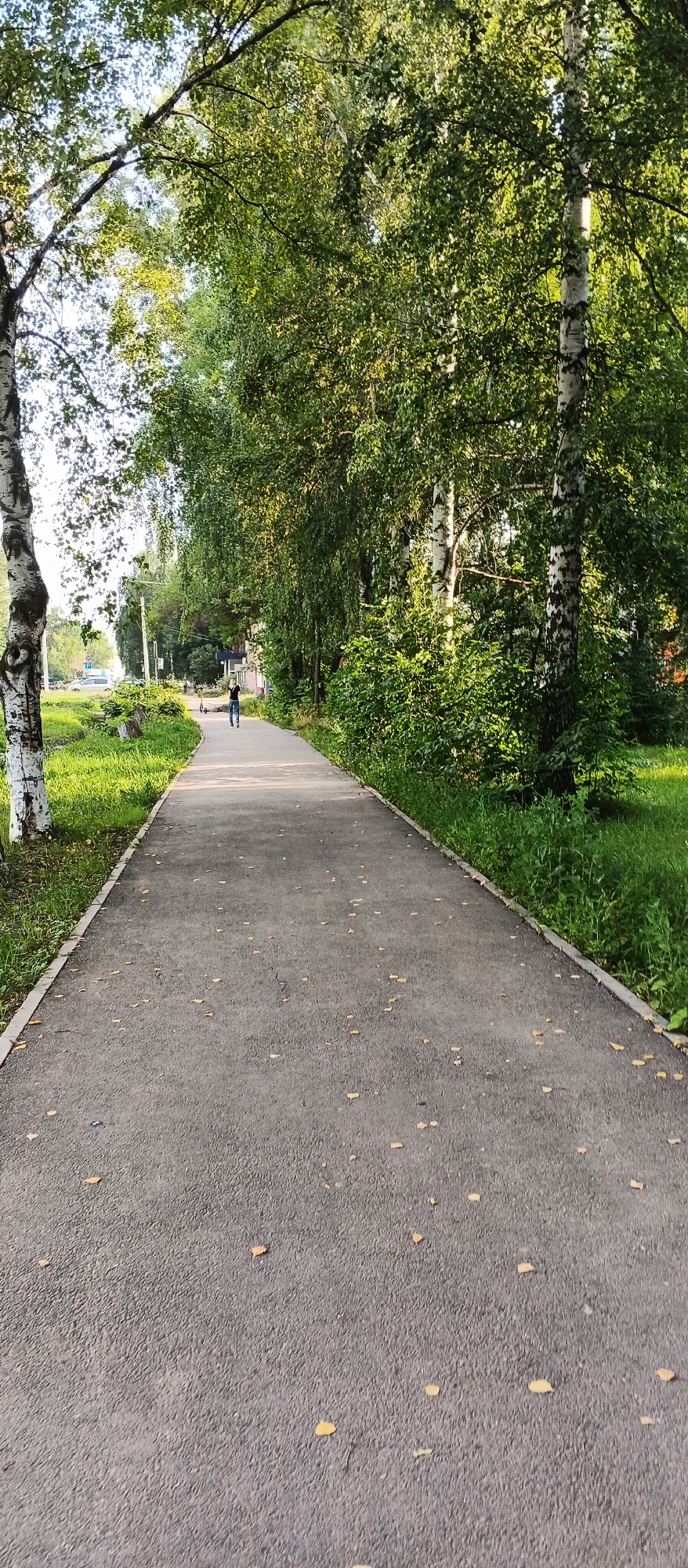 A person is walking away from the camera down a paved path in a park or tree-lined street in Izhevsk, Russia. The path is flanked by lush green grass and trees with white bark and green leaves. The sun is shining, casting dappled light on the scene. A few fallen leaves are scattered on the path. In the background, there are buildings and cars, suggesting an urban setting. The person appears to be wearing dark clothing. The overall impression is one of a peaceful, ordinary day in a residential area of Izhevsk.
