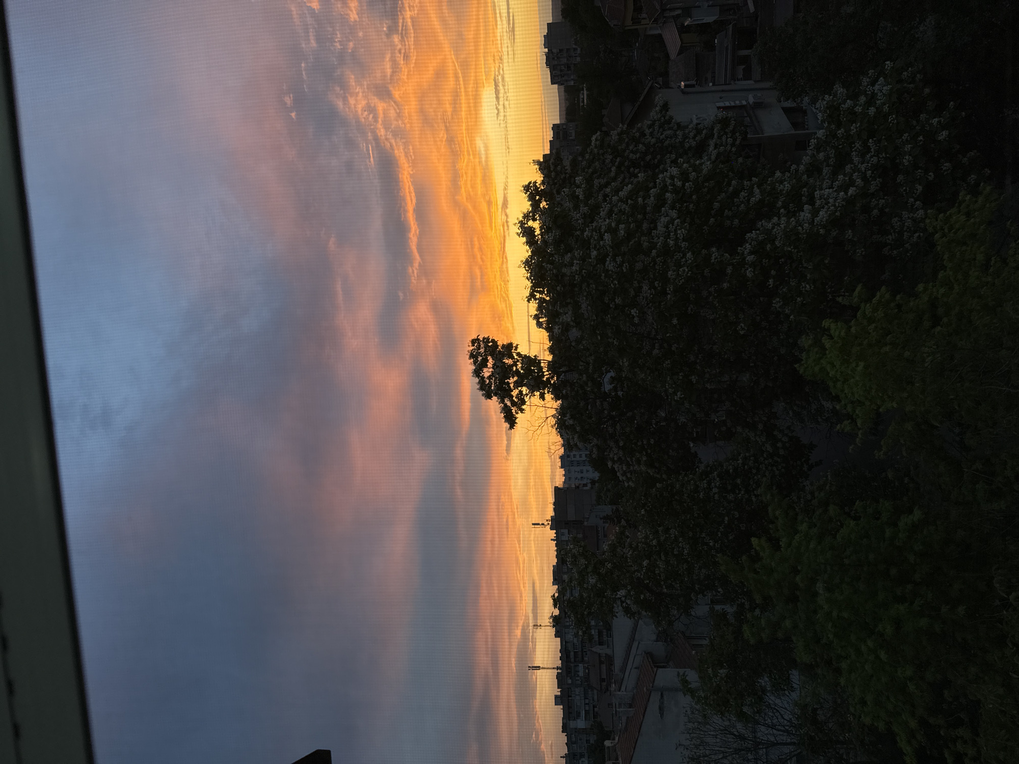 Captured from within a structure, the image presents an obscured view through a screen of a vivid sunset over a city. To the right, dense trees partially conceal residential buildings, the roofs and facades displaying signs of urban architecture. The sky transitions from a dark, muted blue on the left to radiant oranges and yellows towards the horizon. Wisps of clouds stretch across the sky, adding to the scene's dynamism. The image orientation is rotated 90 degrees counterclockwise. While the photograph evokes an urban setting, there is no definitive identifying information that can confirm the location as Vidin, Bulgaria. The information that it is from Vidin is not able to be identified in the image.