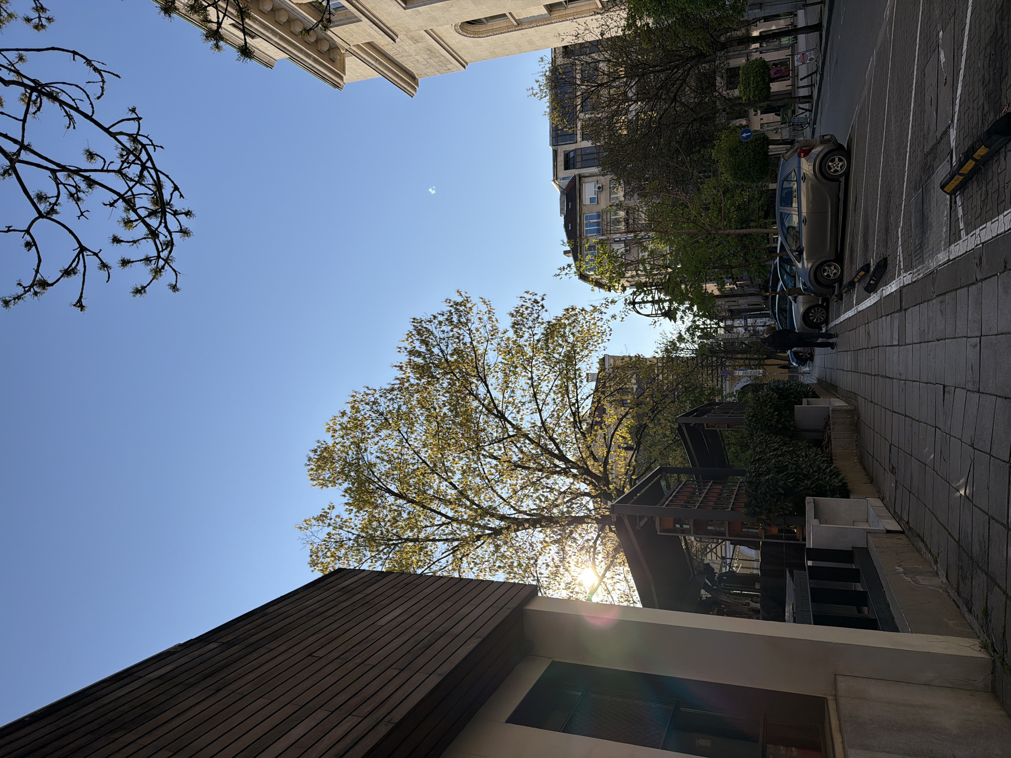 The image is a low-angle shot taken in Sofia, Bulgaria. The scene depicts a street with buildings lining both sides. The sky is a clear blue. A large tree with budding leaves dominates the center of the image, partially obscuring the sun. A building with a dark brown, sloping roof is in the foreground. On the right side of the image, parked cars line the street alongside a paved sidewalk. A man stands by the cars, appearing to be on his phone. Buildings of varying heights and architectural styles are visible in the background. Bare tree branches are visible in the upper left corner of the frame.