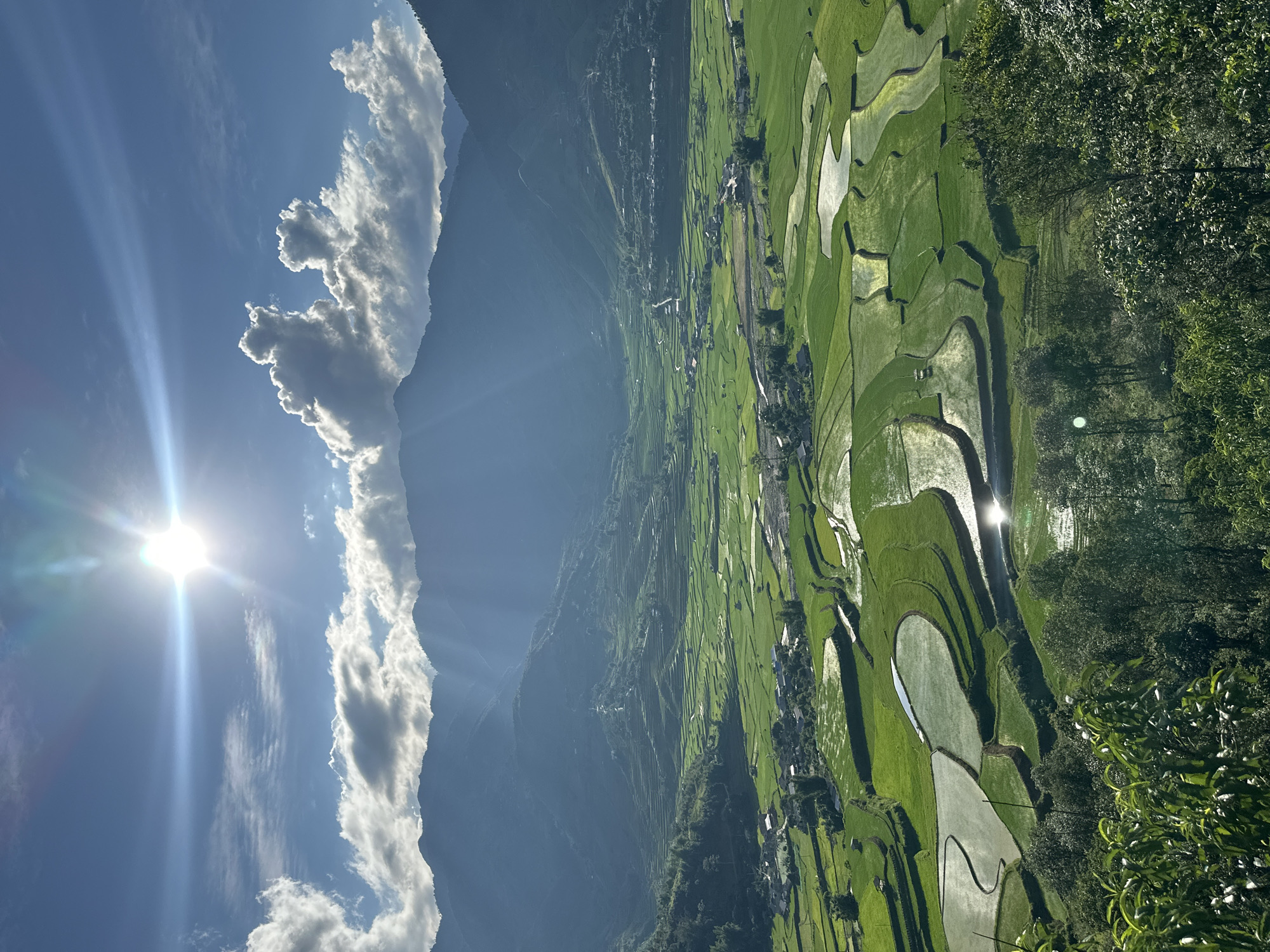 The image displays a panoramic landscape of the Tú Lệ valley in Vietnam, characterized by extensive terraced rice paddies under a bright sky. The sun, positioned in the upper left quadrant, emits prominent rays that traverse the sky and extend into the valley, partially obscured by scattered cumulus clouds. Layers of forested mountains form the backdrop, appearing progressively hazier and bluer with distance. The valley floor is predominantly covered by vibrant green rice terraces, many of which are filled with water, creating reflective surfaces that capture the sunlight. Small clusters of dwellings and a winding road are visible within the agricultural landscape. A river or stream flows through the lower-middle section of the valley. The immediate foreground consists of dense, leafy green foliage. No human or animal figures are discernible.