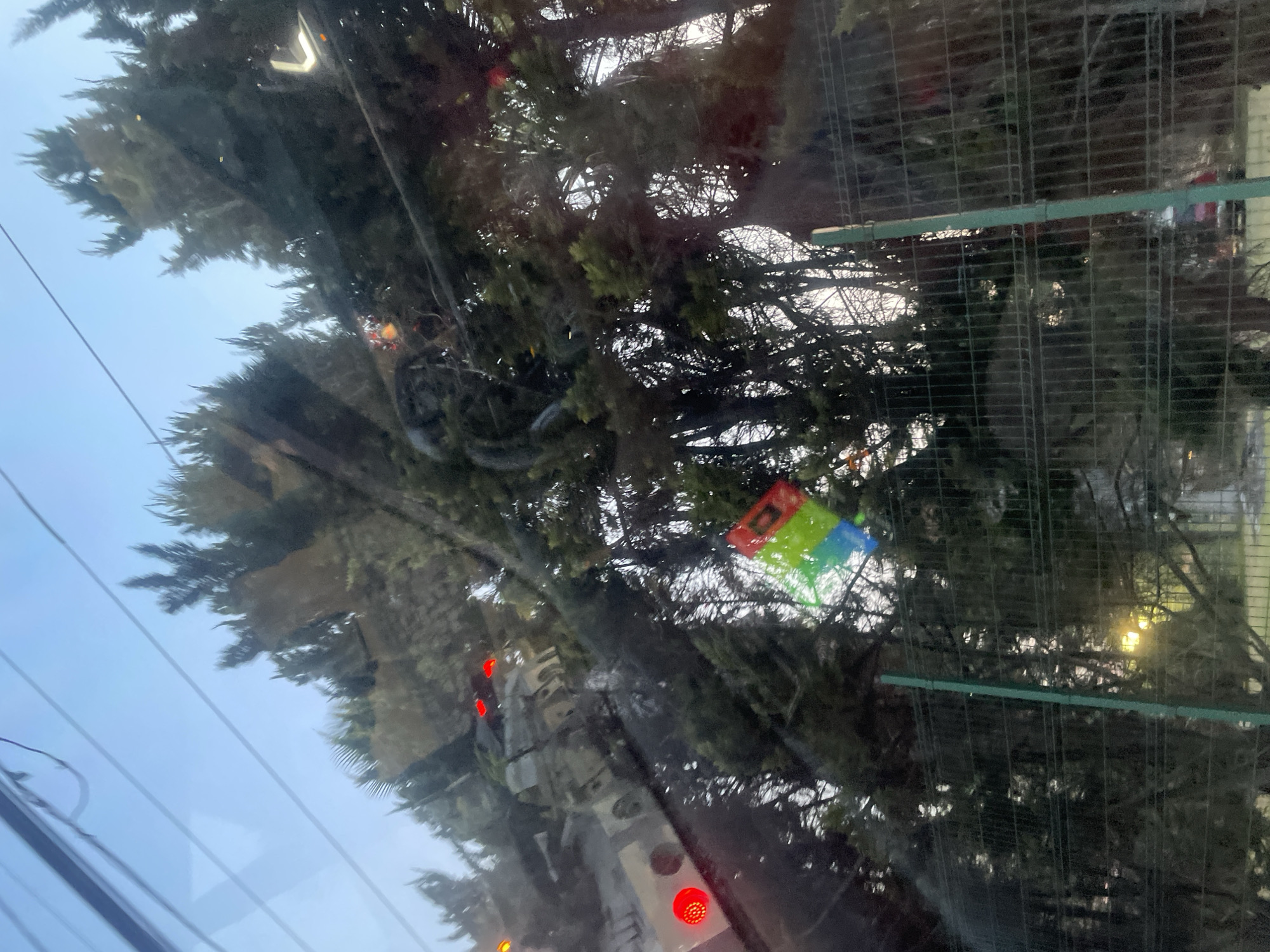 This image, taken from inside a vehicle, appears to show a street scene, possibly in the city of Puebla, Mexico.
**Objects:** The view through the windshield reveals trees and possibly a fence. A small, rectangular object with red, yellow, green and blue sections is visible. There are power lines and a streetlight. Red lights may indicate a traffic signal.
**Environment:** The scene suggests an urban environment with dense foliage.
Without additional information, a specific location within Puebla cannot be determined.