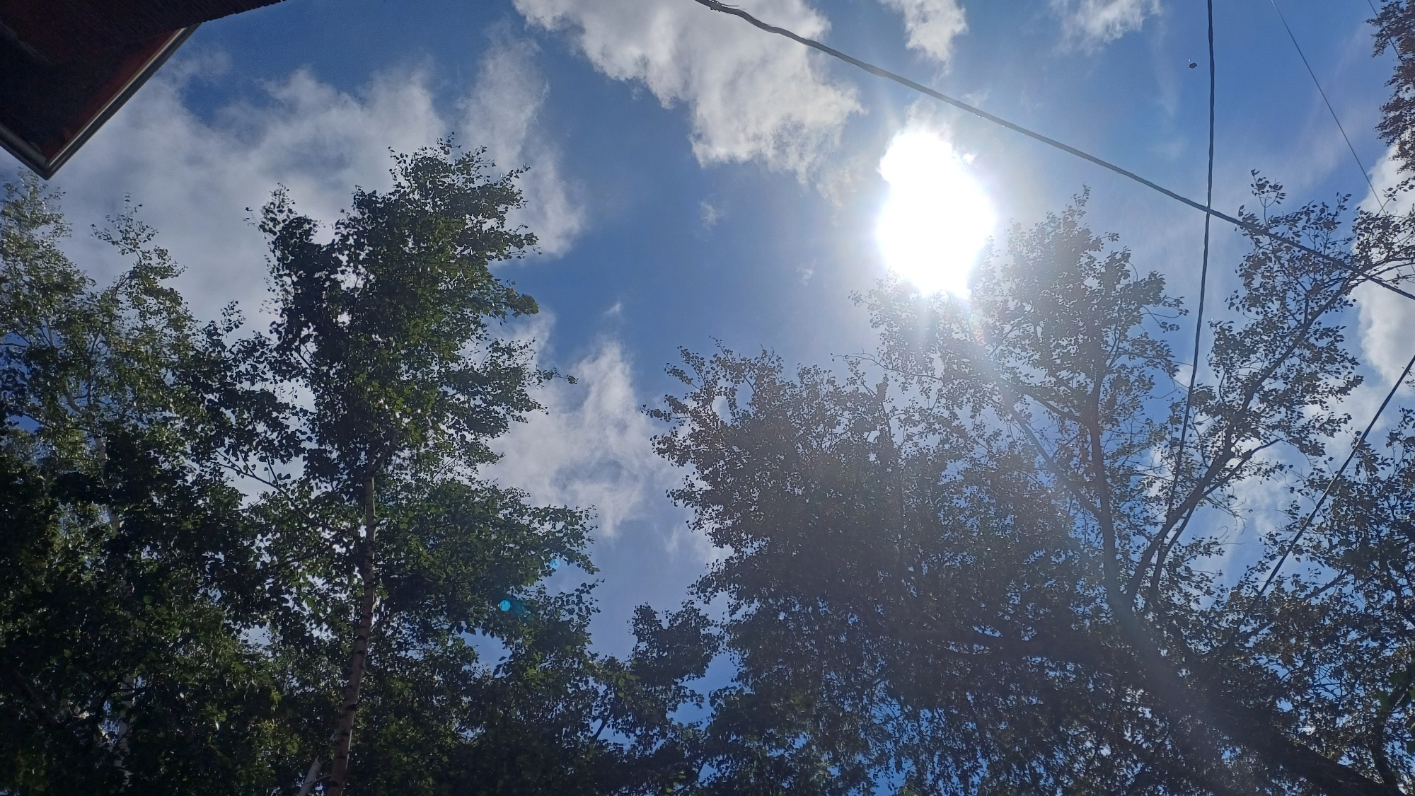 The image shows an upward-facing view of trees against a bright blue sky with scattered white clouds. The sun is visible and shining brightly, causing lens flare and obscuring some details in the sky. Tree branches and leaves fill a significant portion of the frame, with the foliage appearing dense in some areas and sparser in others. The perspective suggests the viewer is standing beneath the trees. There are power lines visible in the sky, crisscrossing through the scene. A portion of a brick building is visible in the upper right corner of the image. The scene is outdoors and appears to be daytime. There are no people visible in the image. The location is specified as Izhevsk, Russia.