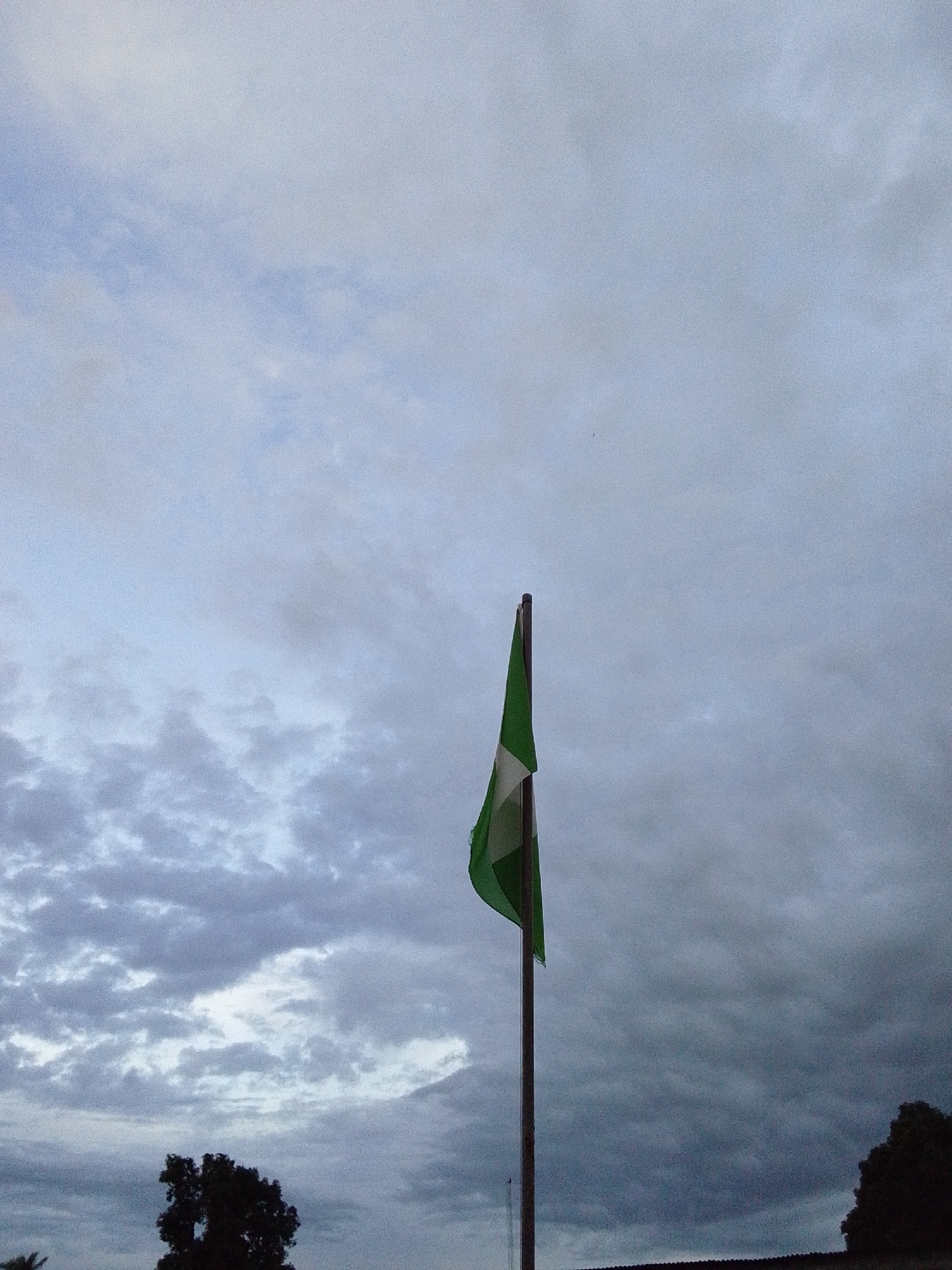 An image captures a Nigerian flag on a flagpole against a cloudy sky. The flag, with its green and white vertical stripes, is prominently displayed. In the background, dark clouds create a dramatic atmosphere. At the bottom of the image, silhouetted trees and a structure suggest an outdoor setting in a town or village, possibly in Serti, Nigeria. The scene appears to be captured during daylight hours, though the heavy cloud cover mutes the light. No people are visible in the frame.