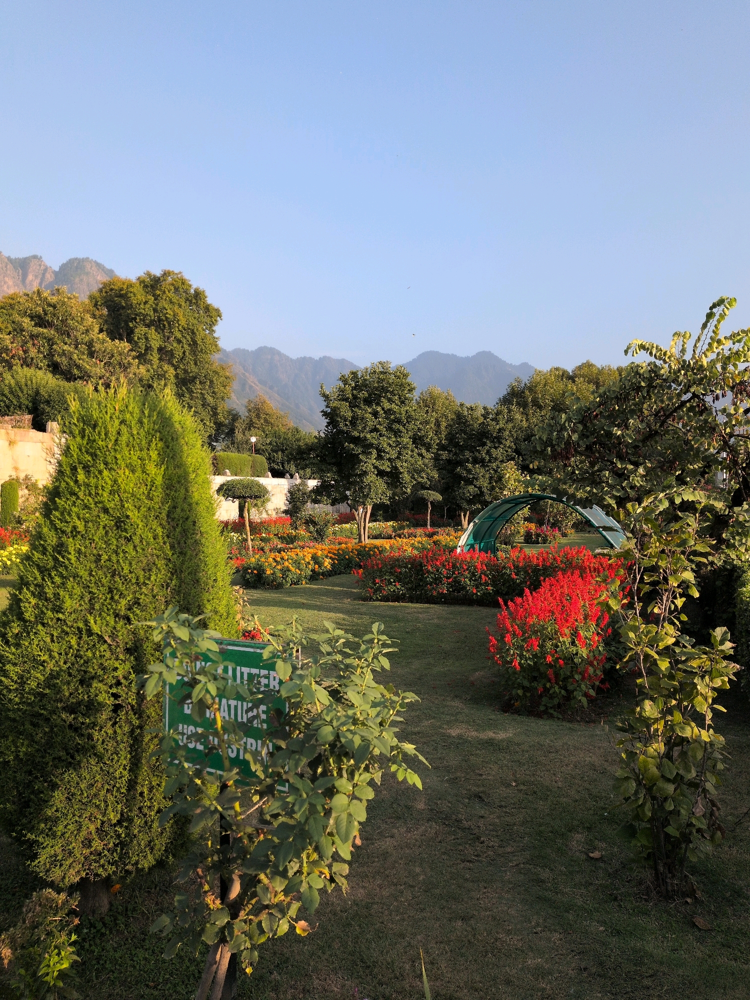 The image depicts a well-maintained garden with lush green grass, blooming flowers in shades of red and yellow, and a variety of trees. In the foreground, a tall, conical evergreen tree stands to the left, partially obscuring a green sign with text. A rose bush with green leaves is in front of the sign. In the middle ground, a series of flower beds are visible, including vibrant red flowers and yellow and orange marigolds. A distinctive arched, green structure, possibly a garden feature or a small greenhouse, is situated behind the red flowers. Beyond the garden, a line of mature trees forms a backdrop, and in the far distance, mountains are visible under a clear blue sky. The scene appears to be peaceful and serene, characteristic of a public garden. Based on the landscape and vegetation, the location is likely one of the famous Mughal Gardens in Srinagar, India, such as Shalimar Bagh or Nishat Bagh.