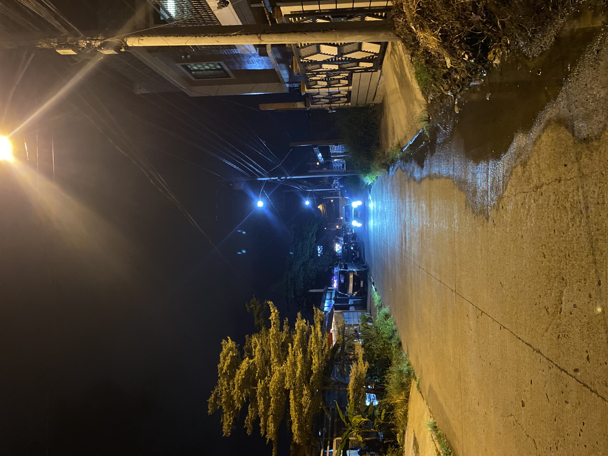 The image depicts a nighttime street scene in Davao City, Philippines. A paved road, wet and reflecting the overhead streetlights, leads into the distance. On the left side of the road, a large, golden-leafed tree with a distinctive tiered shape is illuminated. Beyond the tree, several parked vehicles, including a white van, are visible.
On the right side of the road, a modern-looking building with large windows and a decorative metal fence is situated. A utility pole with numerous electrical wires stands prominently in front of the building. A dark, muddy puddle or drainage area is present along the edge of the road.
In the distance, the headlights of an approaching vehicle cast a bright glow on the wet pavement. The overall atmosphere is dark and illuminated by artificial light, suggesting a residential or commercial area at night.