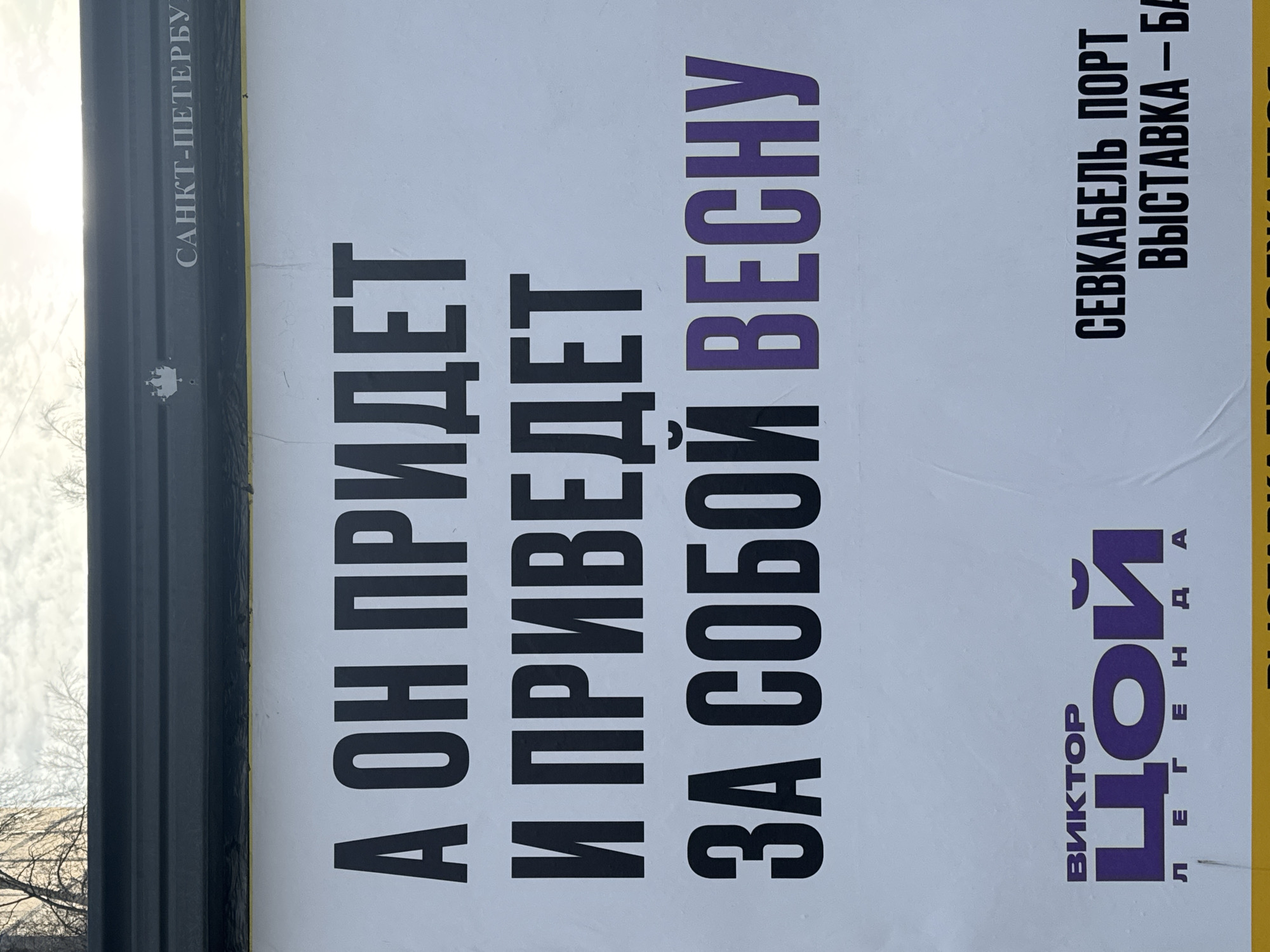 The image shows a close-up of a promotional billboard in Saint Petersburg, Russia. The text on the billboard reads: "А ОН ПРИДЕТ И ПРИВЕДЕТ ЗА СОБОЙ ВЕСНУ" (And he will come and bring spring with him), followed by "ВИКТОР ЦОЙ ЛЕГЕНДА" (Viktor Tsoi Legend). The last text line on the billboard, only partially visible, mentions "СЕВКАБЕЛЬ ПОРТ ВЫСТАВКА — БА" (Sevkabel Port Exhibition). The text in the middle of the billboard is printed in black, whereas the one referencing Viktor Tsoi, and the word ‘spring’ are in purple. The billboard is located near a road, evident from the visible road barrier at the top, and trees in the background. The scene is set during the day, with the sky visible.