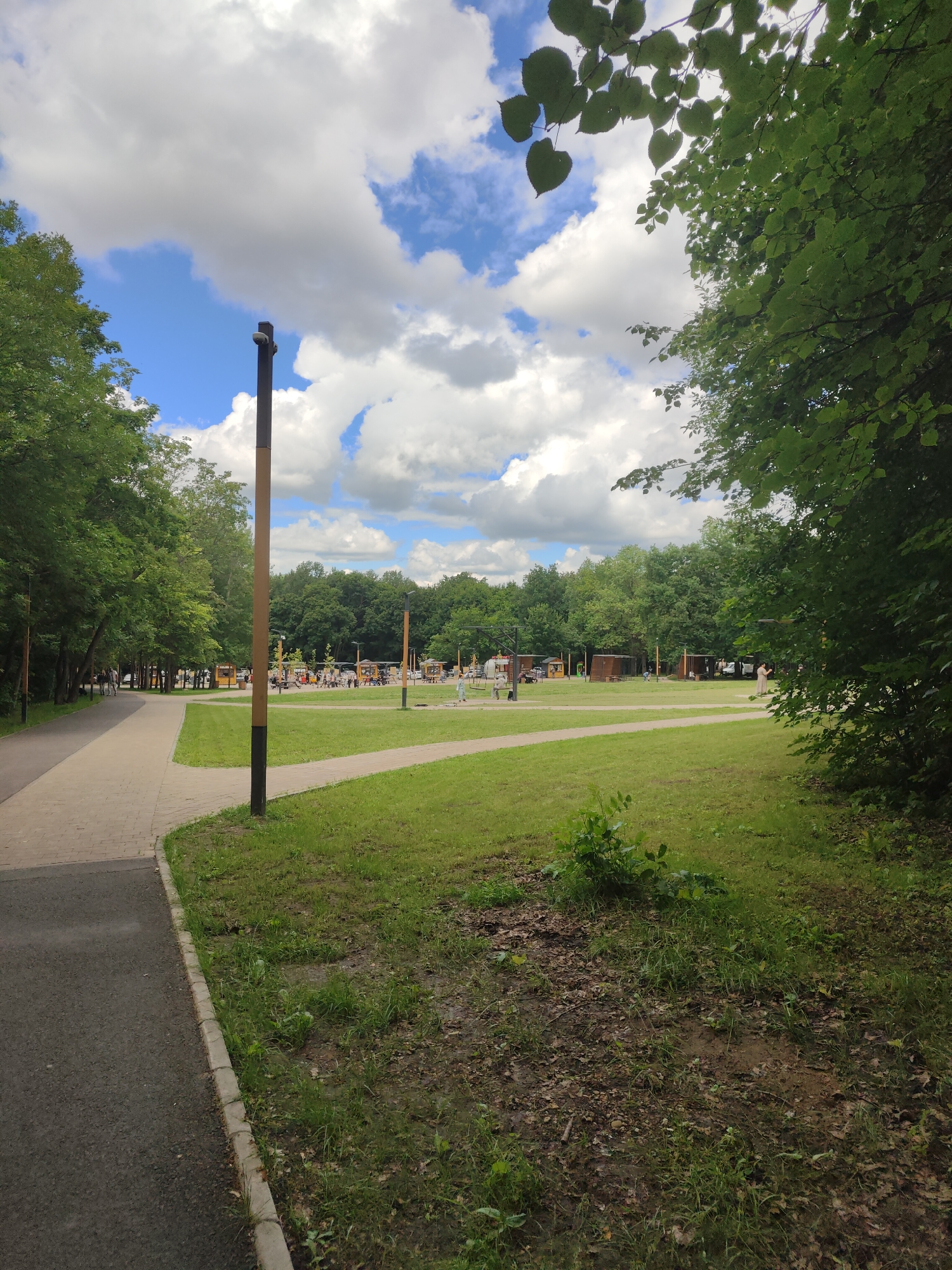 A vertical, medium-shot, eye-level, outdoor photograph captures a park scene on a cloudy day. In the foreground, a paved walkway curves to the left, bordered by a curb and then a patch of grass with some dry leaves. A tall, slender lamp post with a light fixture at its top stands on the right side of the walkway, breaking the grassy area. The middle ground reveals a wide expanse of manicured green grass, with several winding paths cutting through it. Scattered across the lawn are various structures, including wooden gazebos and what appears to be a playground or outdoor fitness area with people visible. In the background, a dense line of green trees forms a natural barrier, suggesting the edge of the park. The sky above is a mix of blue sky and large, white, puffy clouds.