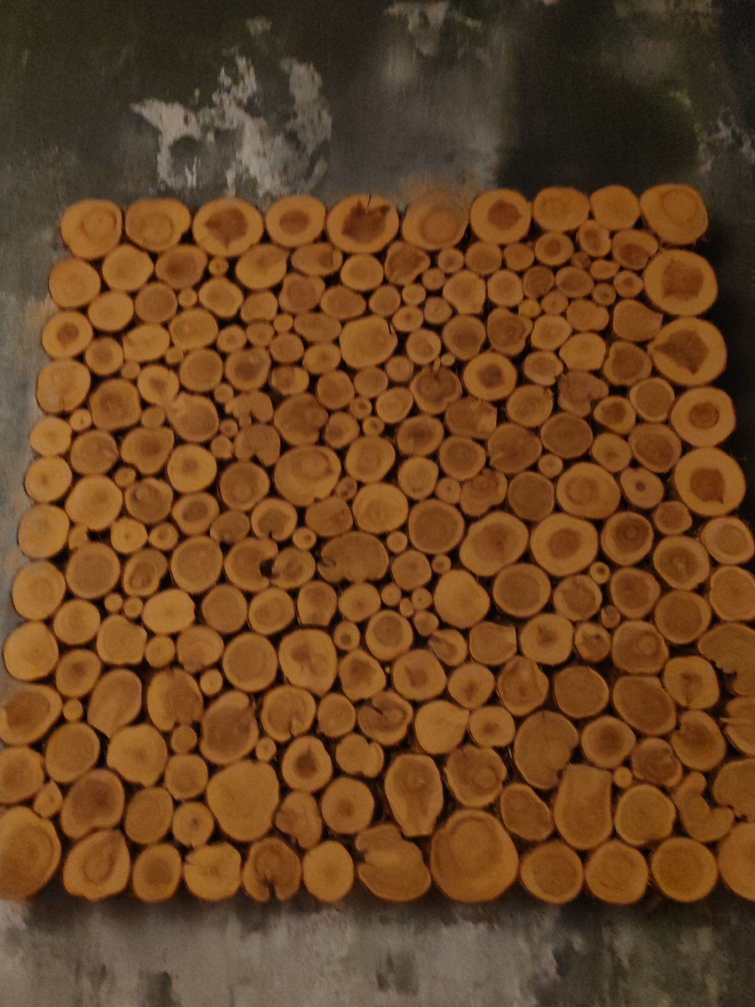 The image displays a close-up, vertical view of a wall or surface covered with a mosaic of cross-sections of tree branches and logs. The wood pieces are circular or oval, with varying diameters, and are arranged tightly together, forming a textured pattern. The wood shows natural grain and knot details, in shades of brown and tan. The background appears to be a dark, textured wall with some lighter, possibly distressed or painted, areas. There are no people or animals visible. The lighting is even, highlighting the textures of the wood and the background. The image does not contain information about its location in Komsomolsk-on-Amur, Russia.