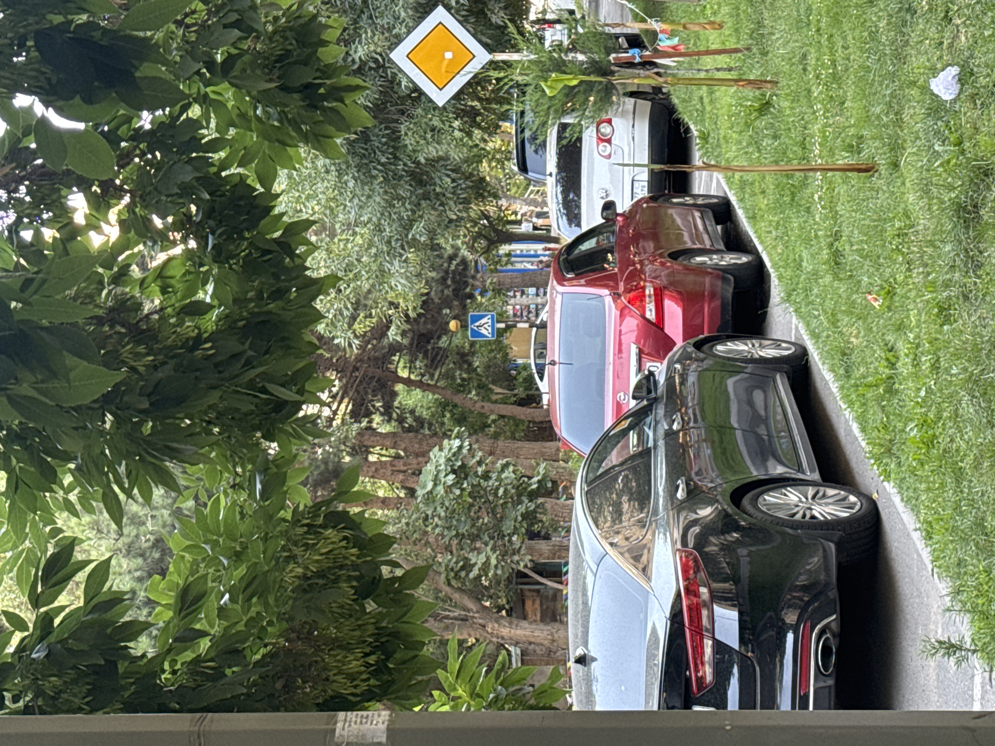 The image depicts a street scene in Baku, Azerbaijan, characterized by a row of parked cars along a grassy verge. The foreground is dominated by the rear of a black sedan, likely a Kia Optima, identifiable by its distinctive taillights and alloy wheels. To its right, a red sedan, possibly a Nissan Tiida, is parked. Further down the street, a white Volkswagen Passat is visible, followed by a dark-colored SUV. The street is lined with mature trees, their dense foliage casting shadows on the pavement and cars. A diamond-shaped yellow sign with a white border and a white square in the center, indicating a main road, is prominently displayed on the right side of the image. Adjacent to it, a blue square sign with a white pedestrian symbol is visible further down the road. The grassy area shows patches of small white flowers and some scattered litter, including a crumpled white piece of paper. The overall atmosphere suggests a quiet residential or commercial street during daylight hours.