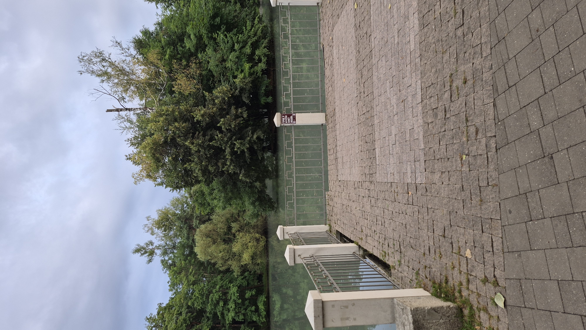 A paved walkway with stone block paving leads to a metal railing overlooking a calm, greenish body of water. Behind the railing, dense green trees line the opposite bank of the water. The sky is overcast with gray clouds. A signpost with text in Russian is attached to one of the railing posts. The scene appears to be a park or scenic area.