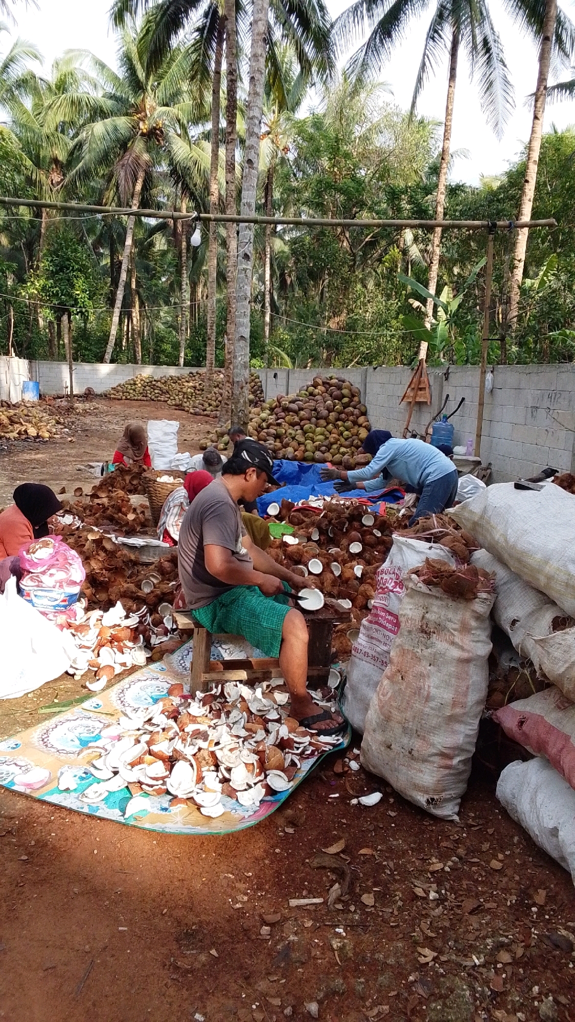 In Parakanmanggu, Indonesia, a man in a grey t-shirt and green checkered shorts sits on a wooden stool, using a curved blade to split coconuts on a platform. He is surrounded by piles of coconut shells and a colorful mat. To his left, a woman in a black headscarf and orange shirt is also working with coconut shells, and another woman in a red headscarf is visible further back. In the background, large mounds of coconuts are visible against a concrete wall, with numerous palm trees and lush green foliage. Two large white sacks, presumably for collecting processed coconut material, are present on the right side of the scene, one of which is partially filled with coconut husks.