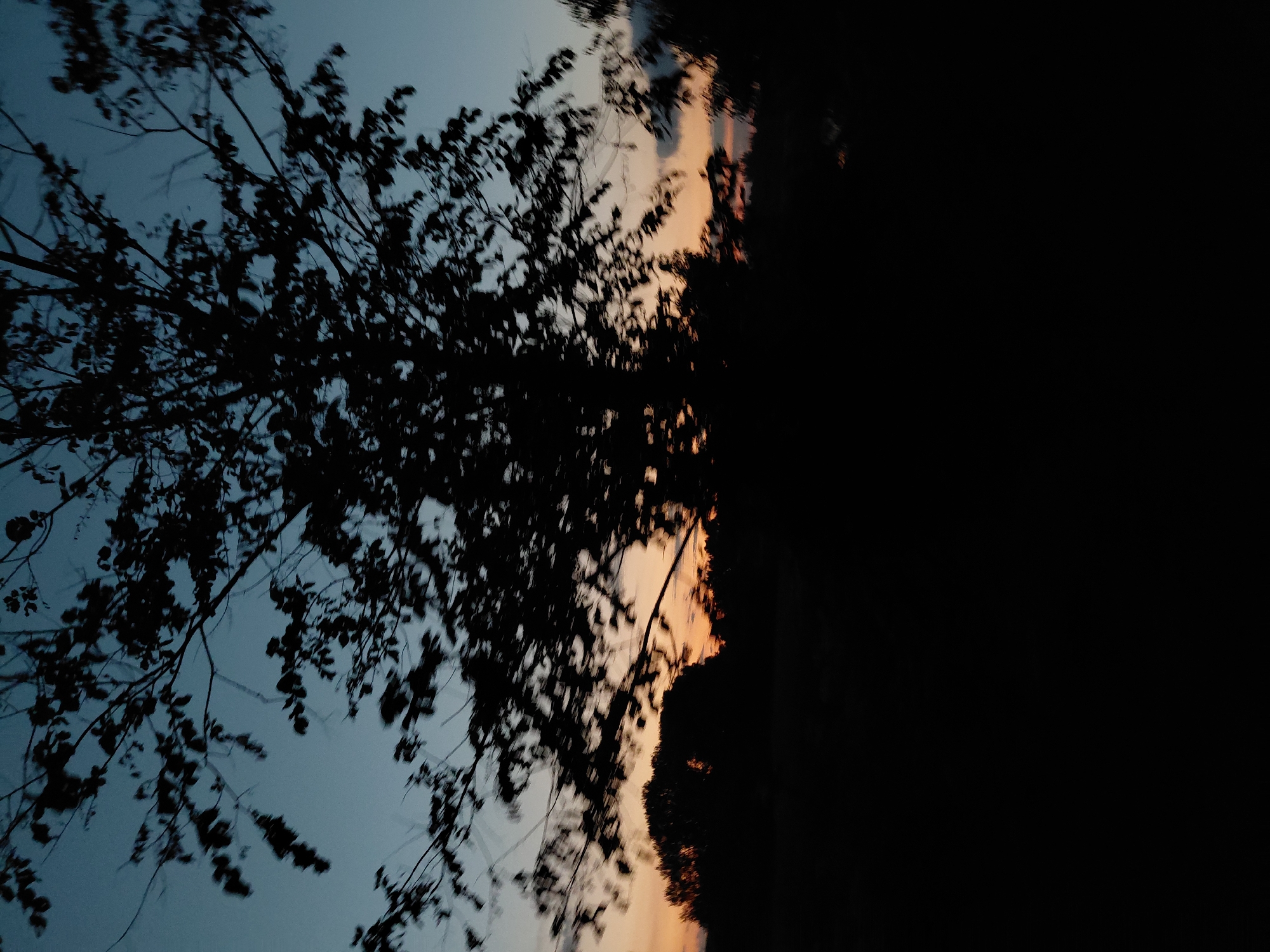 The image depicts a silhouette of a tree against a dusky sky. The sky transitions from a deep blue at the top to hues of orange and pink near the horizon, suggesting a sunset or sunrise. The tree's branches are bare, with a few scattered leaves visible, creating an intricate silhouette against the colorful sky. In the foreground, the ground is covered in darkness, forming a solid black mass that obscures any details of the terrain. The overall impression is one of a peaceful, natural landscape at the edge of twilight. There is no indication of a city or specific location within the image.