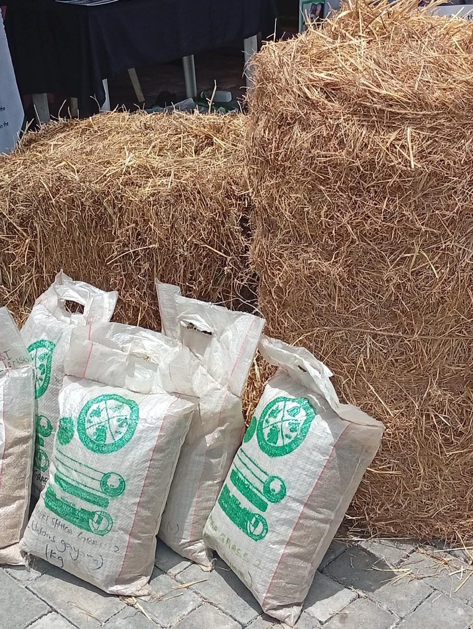 The scene depicts two rectangular bales of dry straw or hay placed on a paved surface, likely an outdoor area. In front of the bales, there are several white plastic bags with green printing, possibly containing seeds or fertilizer, one with the text "HAPEL SHIKA GRASS" and "Uhlons gayong" and the weight "1 kg". The bags appear to be resting on the paved surface, and some are partially obscuring the base of the straw bales. The setting could be an agricultural market or a storage area in Unguwan Sanusi, Nigeria. No people are visible.