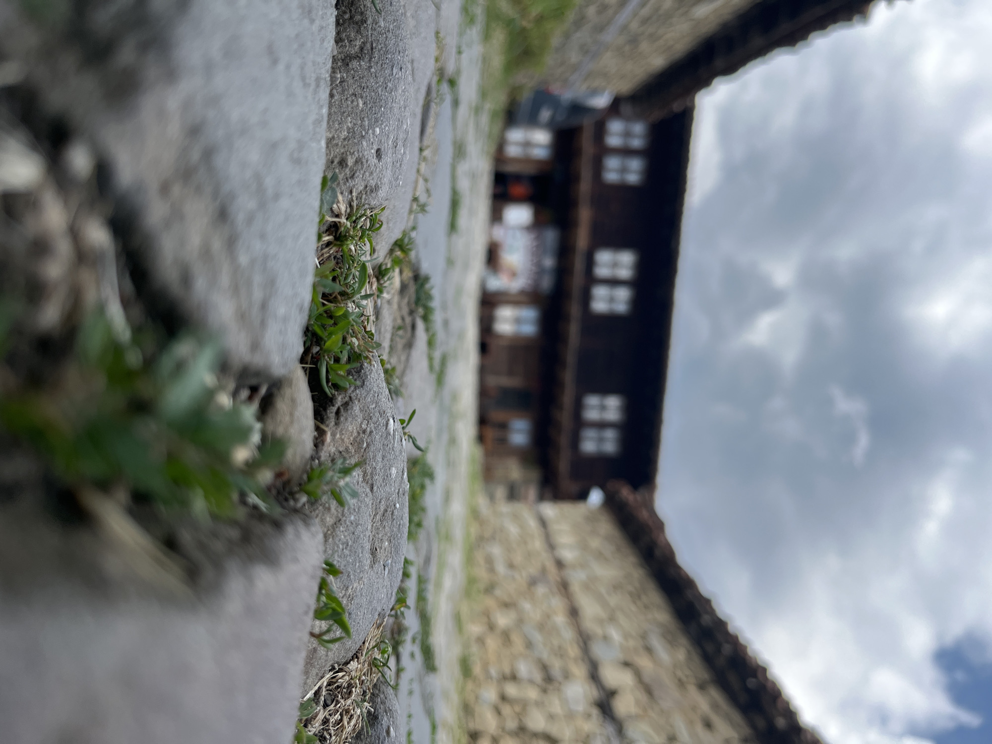The image is a low-angle, close-up shot of cobblestones with small green plants growing between them, set against a blurred background of traditional Bulgarian architecture in Zheravna, Bulgaria. The foreground is dominated by large, gray cobblestones, some of which are slightly damp. Small sprigs of green grass and weeds emerge from the cracks and crevices of the stones.
In the mid-ground, a building constructed with dark wood and stone is visible. It features multiple windows with white panes, arranged in symmetrical patterns on two levels. The roof has dark tiles. To the left and right of this central building, other stone structures with similar tiled roofs frame the scene, creating a sense of a courtyard or village street. The sky above is overcast with heavy, gray clouds, suggesting a subdued or impending weather change. There are no discernible people or animals in the frame. The overall impression is of a rustic, historic setting captured from a ground-level perspective.