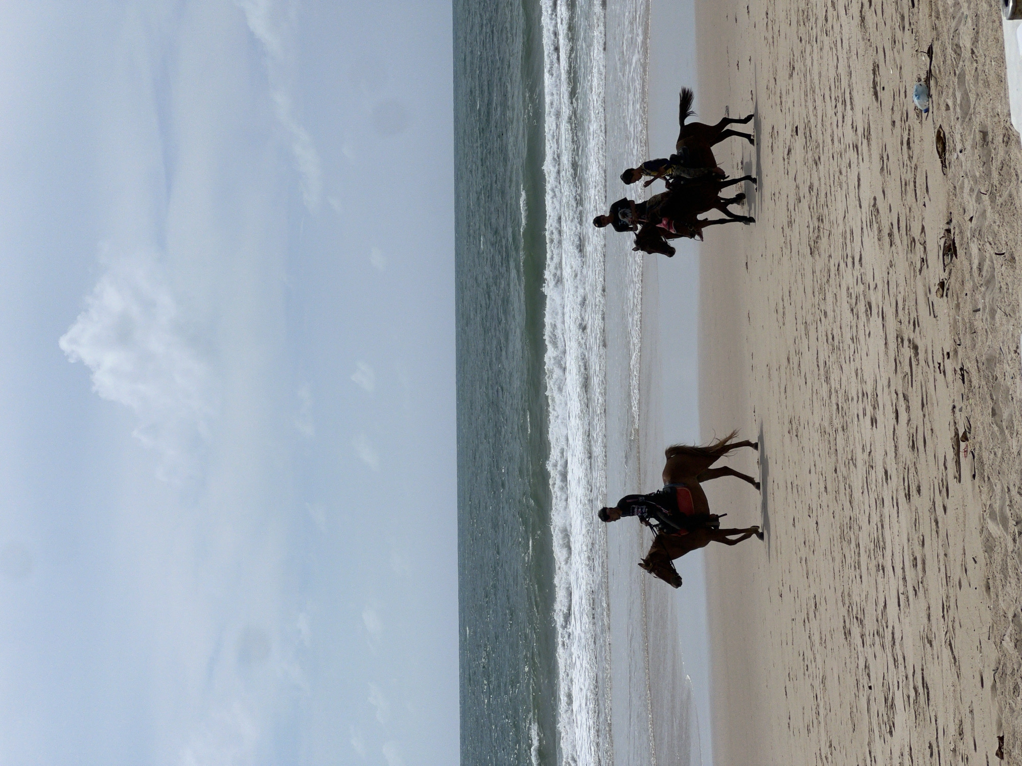 In Choeng Thale, Thailand, four individuals are riding horses along a sandy beach. The ocean is to the left with moderate waves breaking. The sky is overcast with scattered clouds. The sand is light brown and appears damp near the water's edge. Two horses are in the foreground on the left, each with a rider. One horse is dark brown and the rider is wearing dark clothing. The second horse is also dark brown, and its rider is wearing dark clothing. Further back and to the right, two more horses are visible, also with riders. The sky occupies the upper portion of the image.