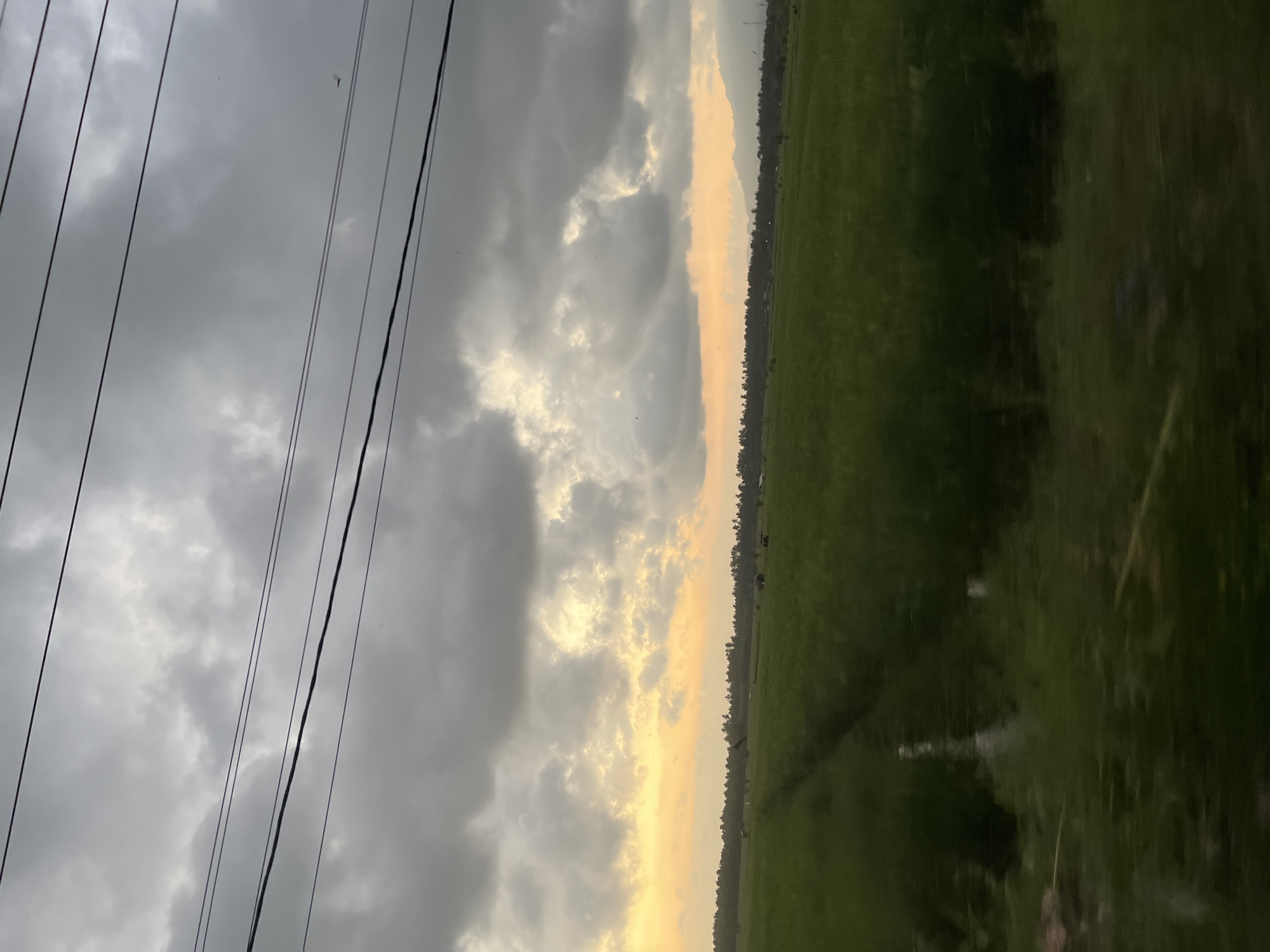 A wide shot captures a landscape in Mendoyo, Indonesia, under a dramatic sky. The foreground is dominated by a lush, green field, possibly rice paddies, with a narrow channel of water running through it. In the distance, a line of palm trees marks the horizon, with faint outlines of mountains visible beyond. Overhead, dark, heavy clouds stretch across the sky, with patches of pale yellow sunlight breaking through, suggesting either dawn or dusk. Several dark, thin power lines are strung across the top of the frame. The overall impression is one of rural serenity with an impending change in weather.