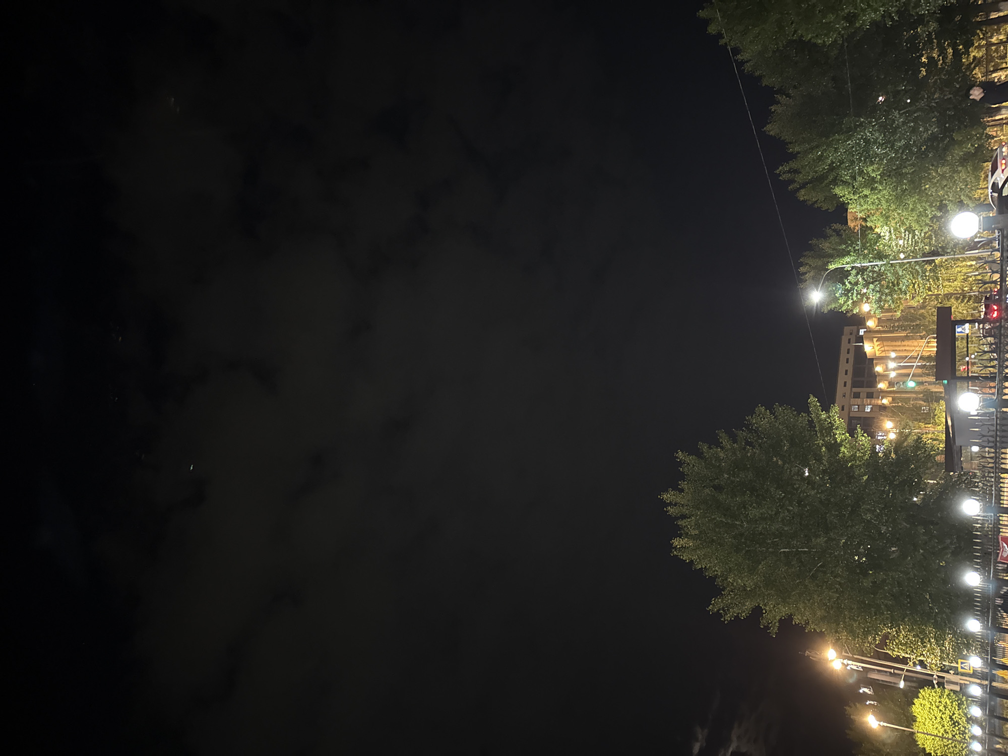 The image shows a nighttime scene in Kokshetau, Kazakhstan. On the right side, there is a tree-lined street with lit street lamps and decorative lights. A building is visible in the background between the trees. The sky is dark with clouds visible in the left half of the image. The street has a pedestrian zone with metal fencing.