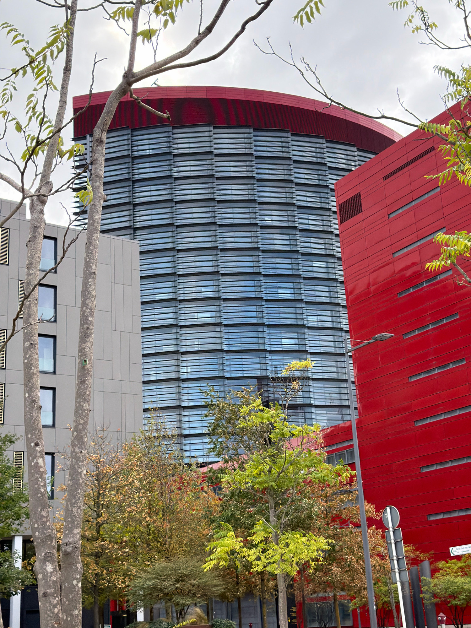 The image captures an urban scene in Sanem, Luxembourg, featuring striking modern architecture and autumnal foliage. Dominating the center and left of the frame is a large, curved building with a facade composed of horizontal bands of glass and metal, topped with a distinctive red, curved roof. To the right, a vibrant red, rectangular building stands prominently, its surface punctuated by horizontal, slit-like windows. In the foreground, several trees with sparse, light-colored bark and branches are visible, some adorned with green leaves while others display the yellows and browns of autumn. The background is a blend of sky and the upper portions of buildings, with scattered clouds. The overall impression is one of contemporary urban design juxtaposed with the natural beauty of the changing seasons.