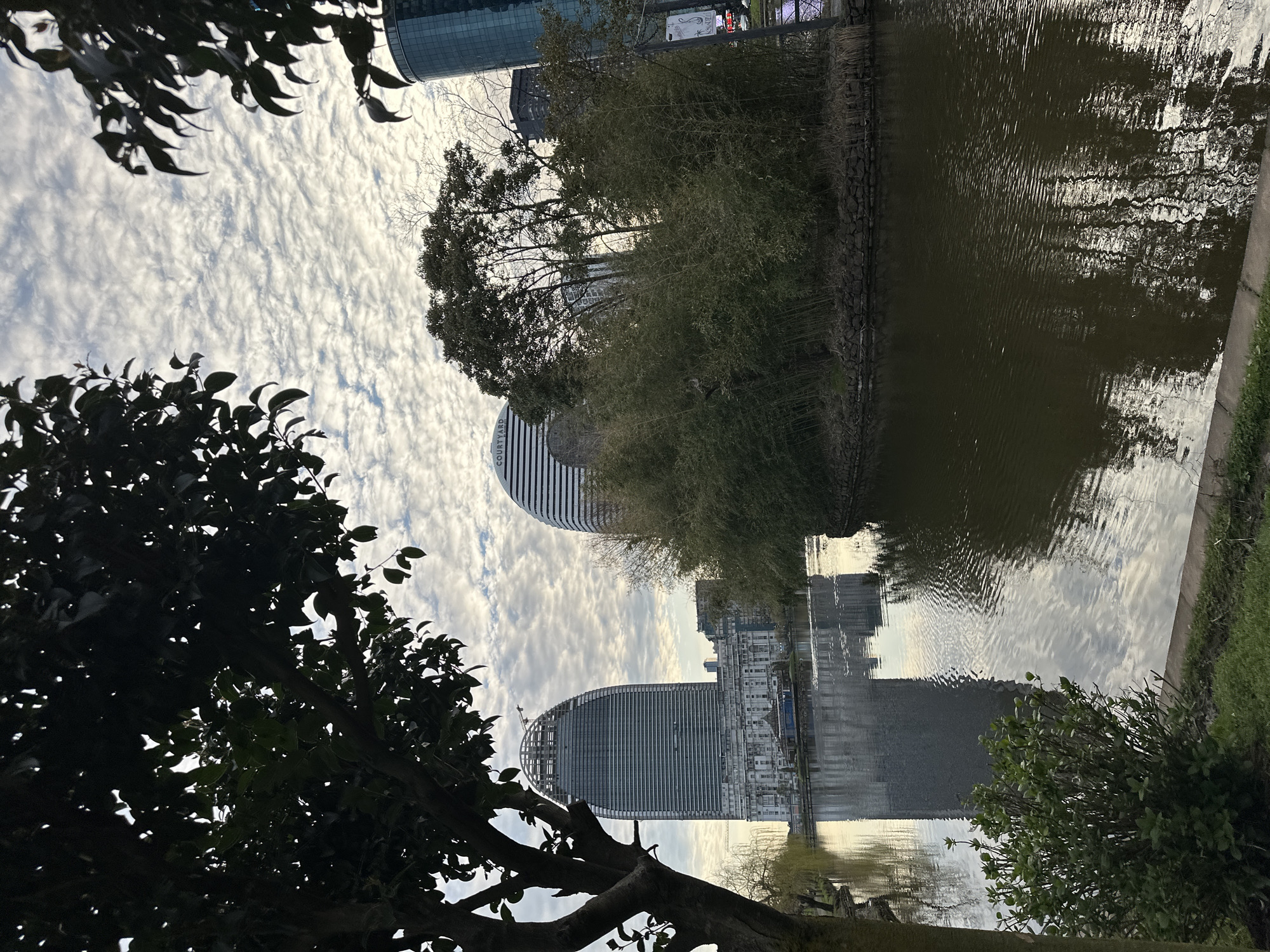 The image shows a canal or lake reflecting buildings and sky in Batumi, Georgia. Two prominent curved high-rise buildings are visible, one under construction. Trees and foliage are in the foreground, partially obscuring the view. The sky is overcast with patterned clouds. The water is slightly rippled, distorting the reflections. No people are visible in the image.