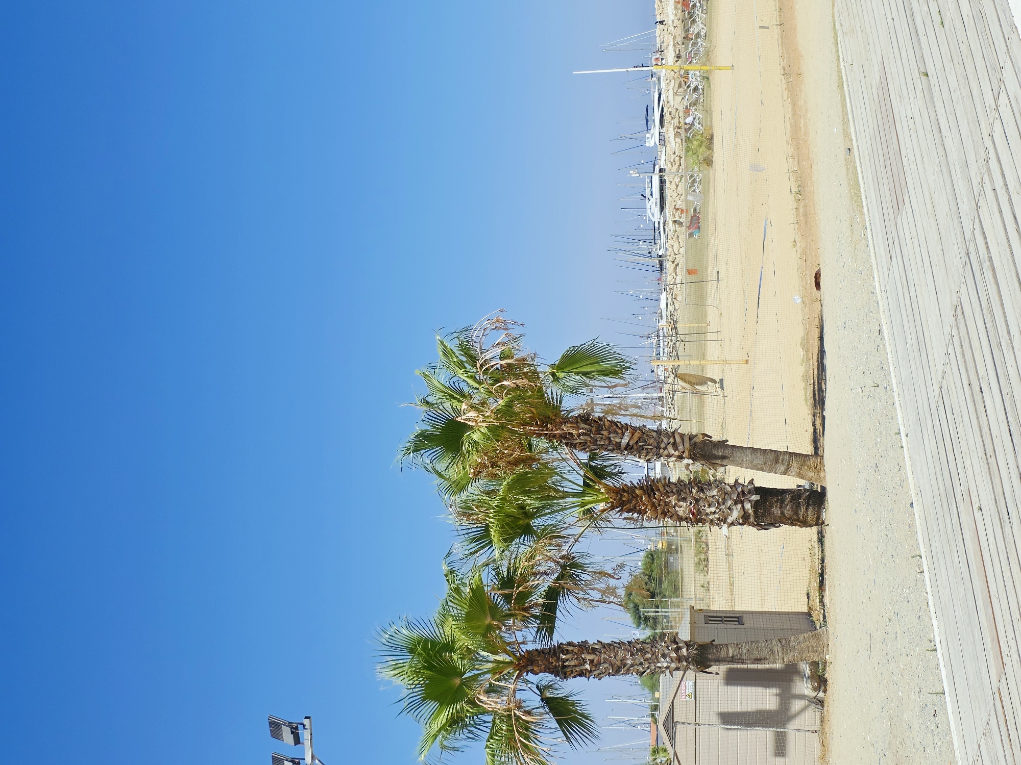 The image depicts a sunny day at a beach in Larnaca, Cyprus, with a clear blue sky dominating the upper portion. In the foreground, a weathered wooden boardwalk stretches horizontally across the frame. Behind the boardwalk, a sandy beach area is visible, with three palm trees standing tall. To the left, a small, light-colored utility shed with a dark-tiled roof and a small window is present. A fence encloses part of the beach area, beyond which a harbor is visible, filled with numerous sailboats and yachts docked against a stone breakwater. In the distance, people can be seen relaxing on lounge chairs on the beach. The overall atmosphere is tranquil and summery.