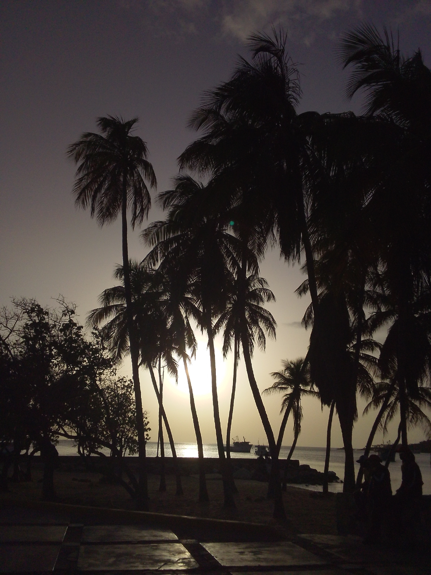 The image depicts a tropical scene at dusk, likely a beach or waterfront area. A dense silhouette of palm trees dominates the foreground and midground, their fronds reaching towards a hazy sky. The sun is low on the horizon, casting a warm, diffused light that is partially obscured by clouds, creating a muted glow. In the distance, a body of water is visible, with a few ships or boats anchored or sailing. The overall atmosphere is serene and somewhat melancholic, with the fading light and dark silhouettes contributing to a sense of twilight tranquility. There appear to be a few figures silhouetted on the right side of the image, possibly people relaxing or walking along the shore. The foreground shows a textured surface, possibly a paved area or walkway, with some reflections indicating dampness or a light coating of water. The scene suggests a peaceful, natural setting by the sea, bathed in the soft, fading light of day.