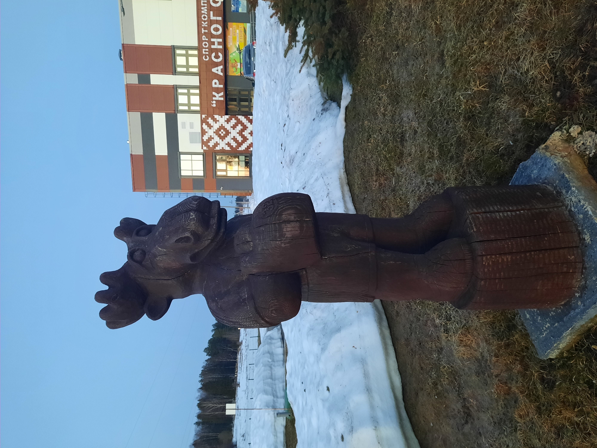 A medium shot shows a wooden moose sculpture standing on a stone base, with patches of snow in the background and the “Krasnogorskoye” sports complex visible behind the snow, located in Krasnogorskoye, Russia. The moose is depicted as a stylized wooden carving with dark brown wood. There is dry grass in the right foreground, leading up to the sculpture. A building with a sign reads "СПОРТ КОМПЛЕК 'КРАСНОГОРСКОЕ'" (SPORT COMPLEX 'KRASNOGORSKOYE'). The sky is blue. The ground has patches of snow and ice mixed with grass and earth.