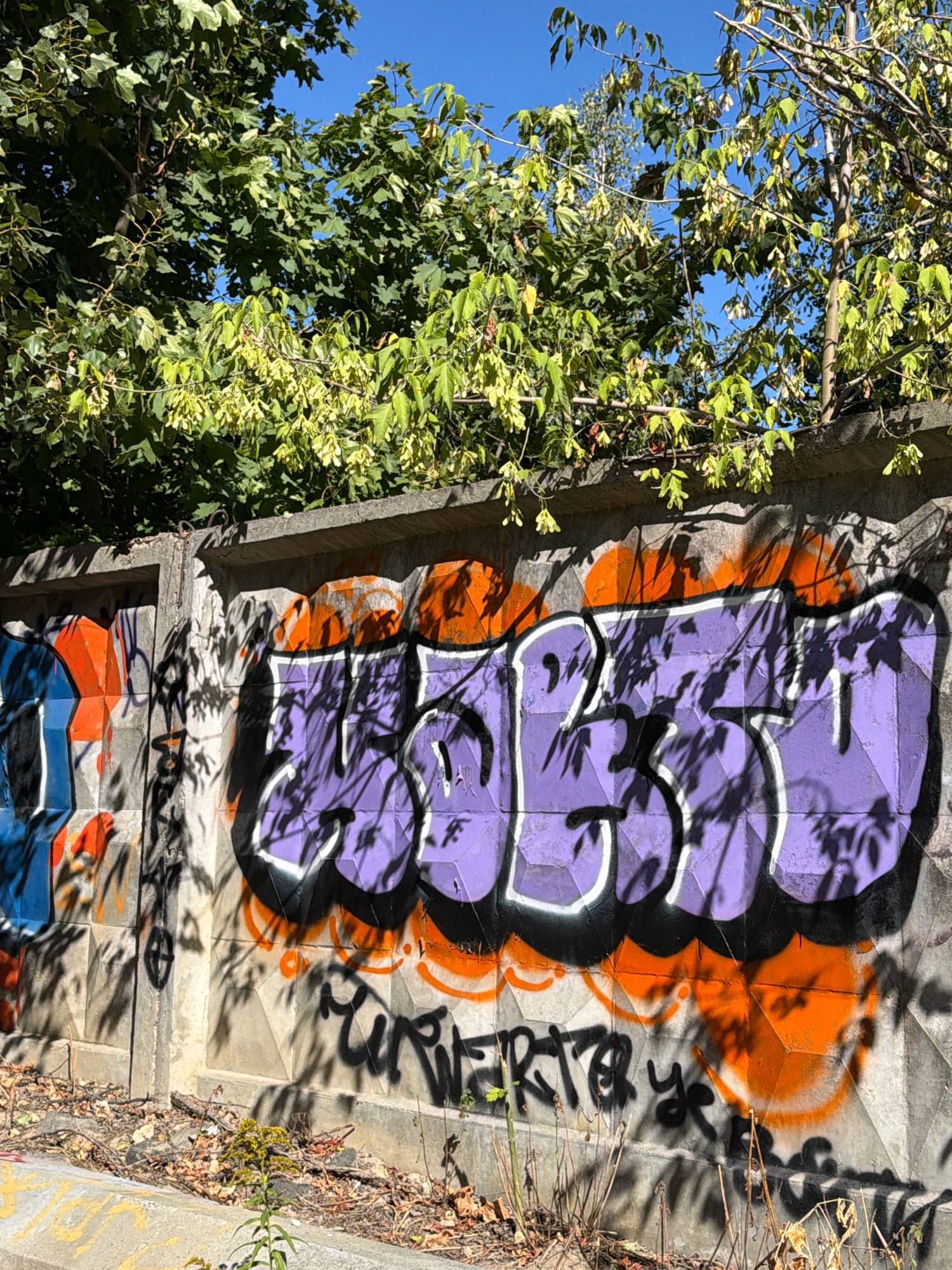 The image depicts a concrete wall covered in graffiti, situated outdoors in Kyiv, Ukraine. The wall features prominent purple, orange, and blue spray paint. Large, stylized purple lettering with white outlines dominates the center of the wall, casting shadows from nearby foliage. Below this, smaller black graffiti is visible, including what appears to be text and symbols. The wall itself is textured with a diamond pattern. Overhanging the wall are green trees with some shedding seed pods. The ground in front of the wall is covered in dry leaves, twigs, and some sparse vegetation, with a concrete curb in the foreground. The sky above is clear and blue. The scene suggests an urban environment, possibly a park, underpass, or a forgotten industrial area.