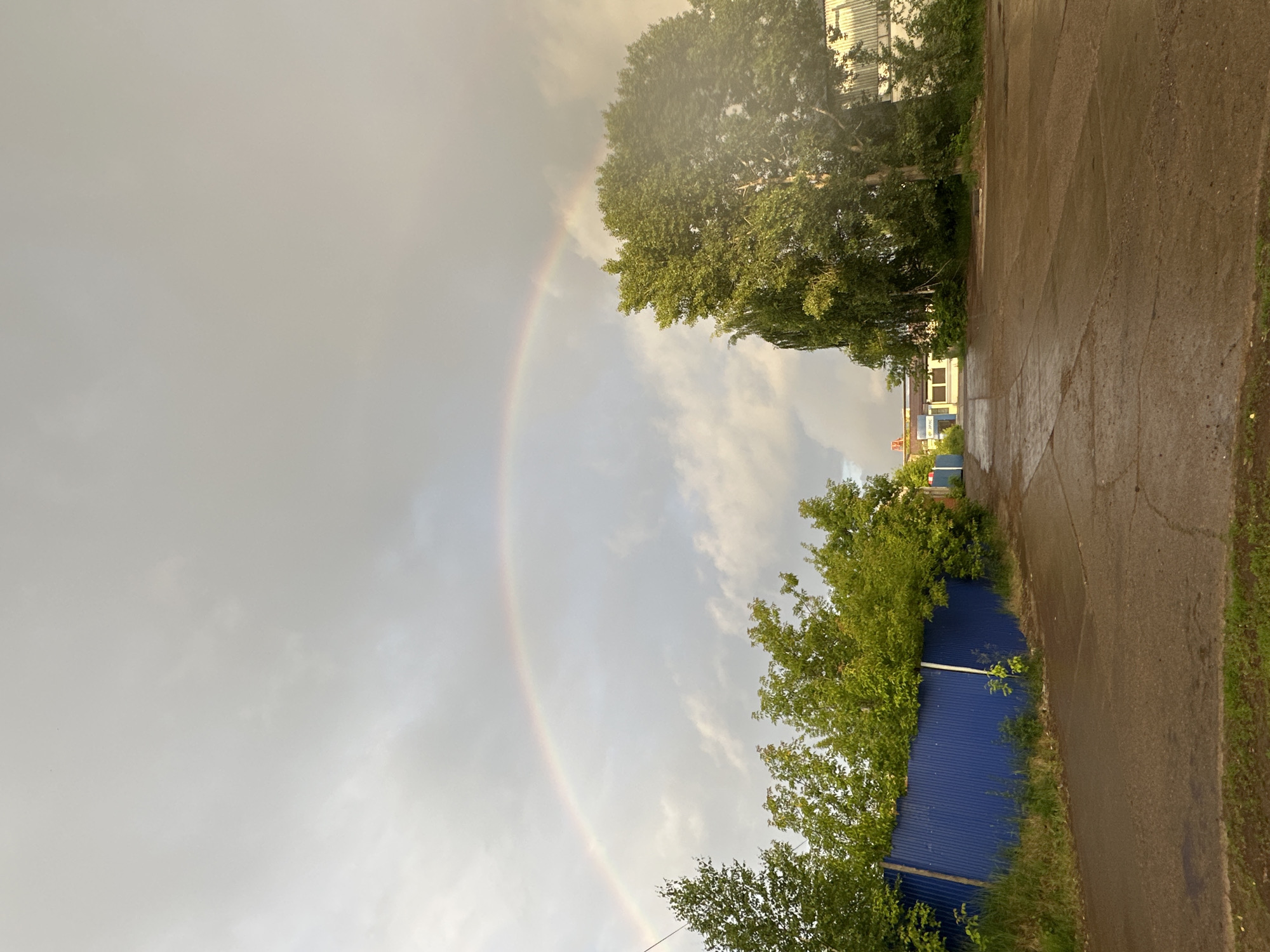 This is a vertical, medium shot photograph taken from a low angle in Chaikovsky, Russia, capturing a post-rain scene. The sky is overcast with a visible rainbow arcing across it. The foreground is an asphalt road, appearing wet and reflective. To the left, a vibrant blue corrugated metal fence runs horizontally, partially obscured by lush green trees and foliage. To the right, a large, mature tree with dense green leaves dominates the frame, casting shadows on the road. In the middle ground, there is a small building complex with white and blue facades and a metal roof. The overall lighting suggests it is late afternoon or early evening, with the sun breaking through the clouds to create the rainbow. There are no people or animals visible in the image.