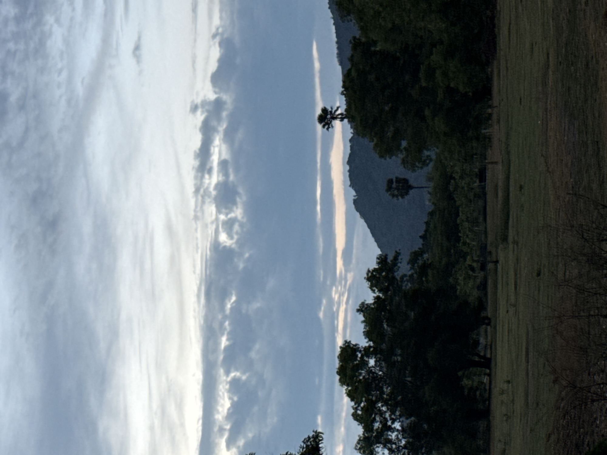 An overcast sky with a mix of light and dark gray clouds fills the upper half of the image. Below the sky, a silhouetted mountain range stretches across the horizon, its dark peaks softened by the atmospheric haze. In the foreground, a field of dry grass and sparse vegetation stretches towards a line of dark trees and foliage. To the right of the field, a lone palm tree stands tall against the dusky sky, its distinctive silhouette a focal point. The overall impression is one of a tranquil, rural landscape at dusk or dawn. The scene is likely located in Ko Samui District, Thailand, given the presence of palm trees and the characteristic tropical mountain silhouette.