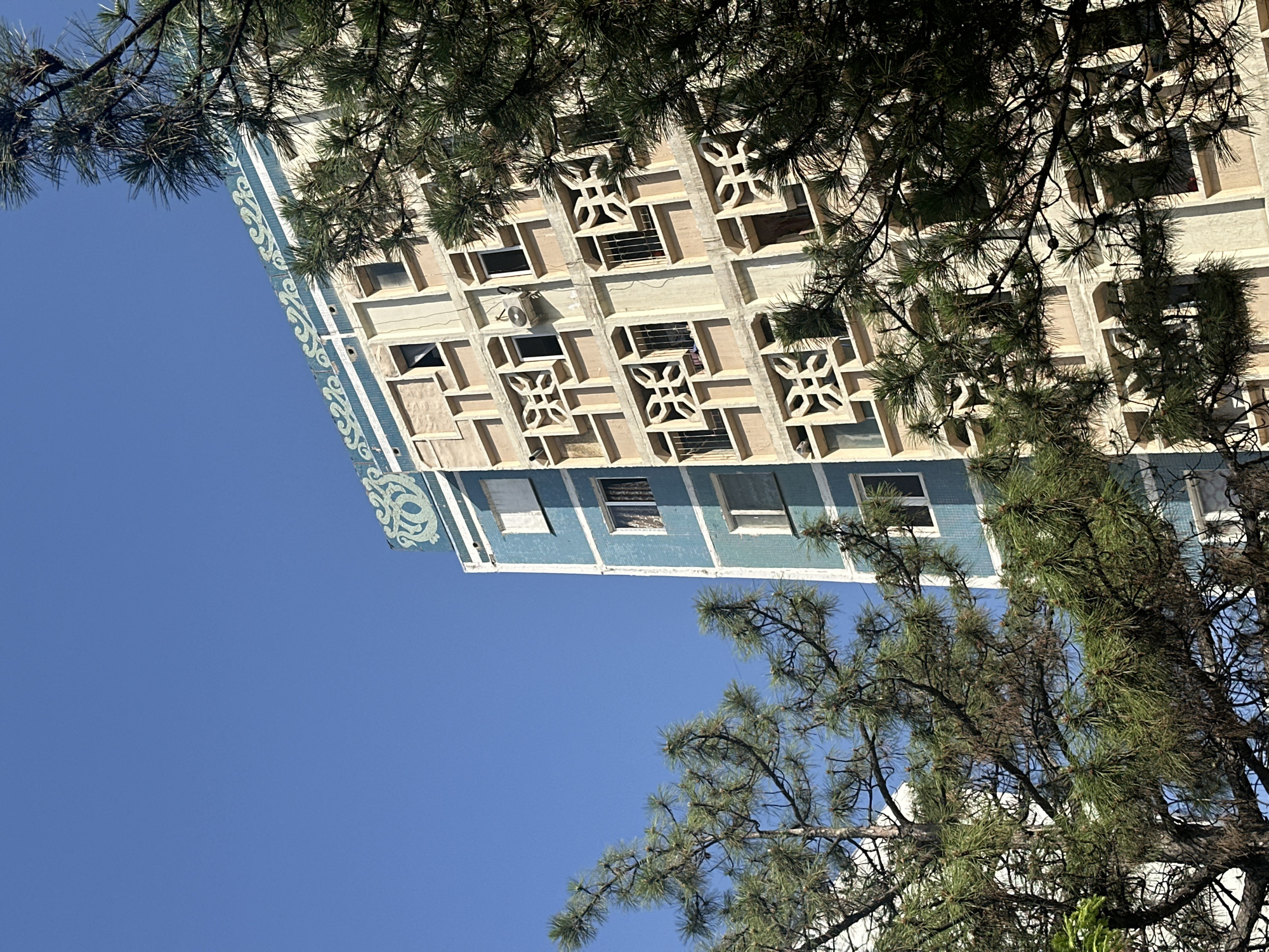 View of a multistory building from the ground in Tashkent, Uzbekistan. The building features a light blue and beige facade with decorative elements. The top floors exhibit windows and geometric designs. Pine trees partially obstruct the view of the building. The sky is clear blue.