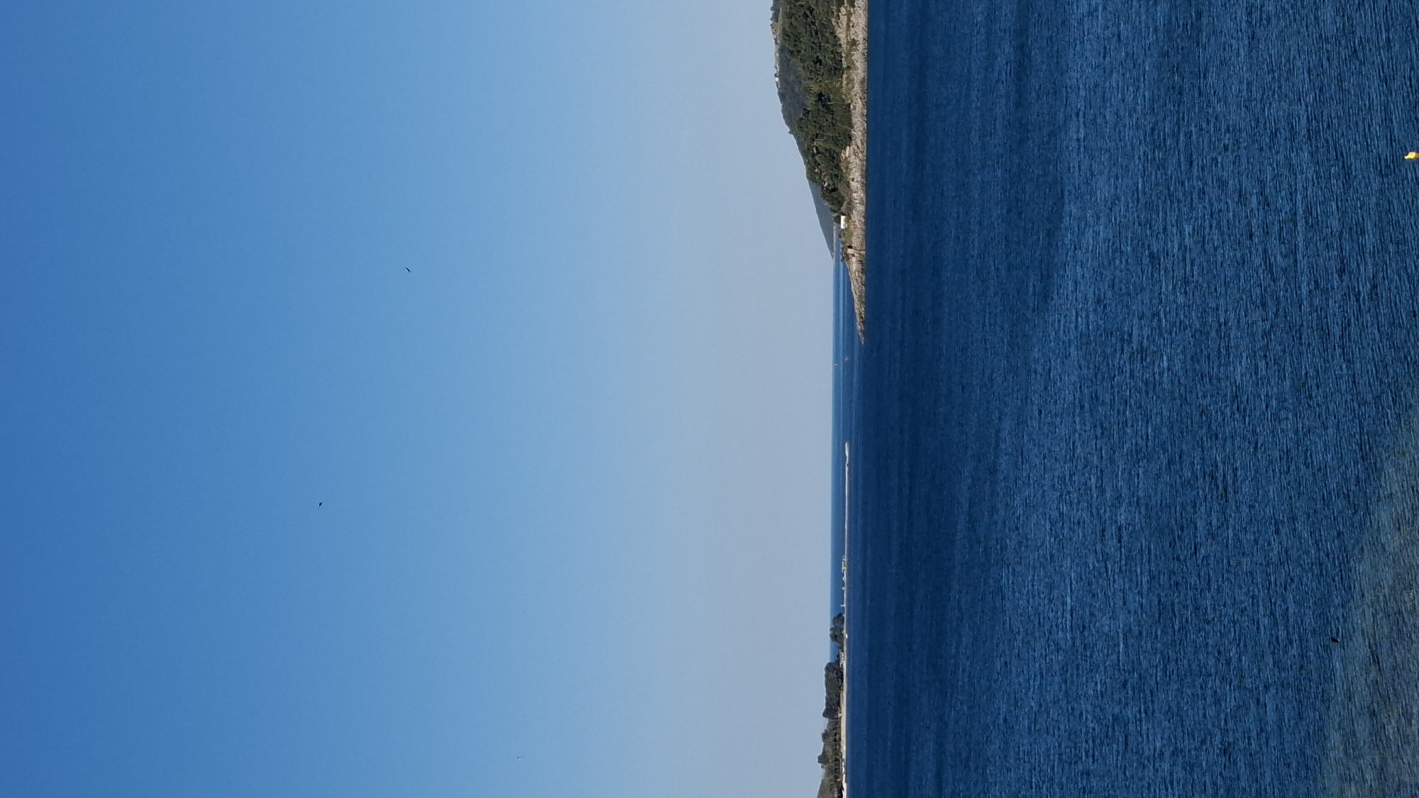 The image shows a vertical landscape with a gradient blue sky on the left and a dark blue sea on the right. A thin strip of land with green vegetation and some buildings runs along the right side, separating the sea from the sky. The land suggests a coastal region. Given the prompt, the location is likely near Budva, Montenegro, but without specific landmarks, a precise pinpoint is impossible. The only visible actions are natural ones, such as the movement of the sea and the potential flight of small birds in the sky.