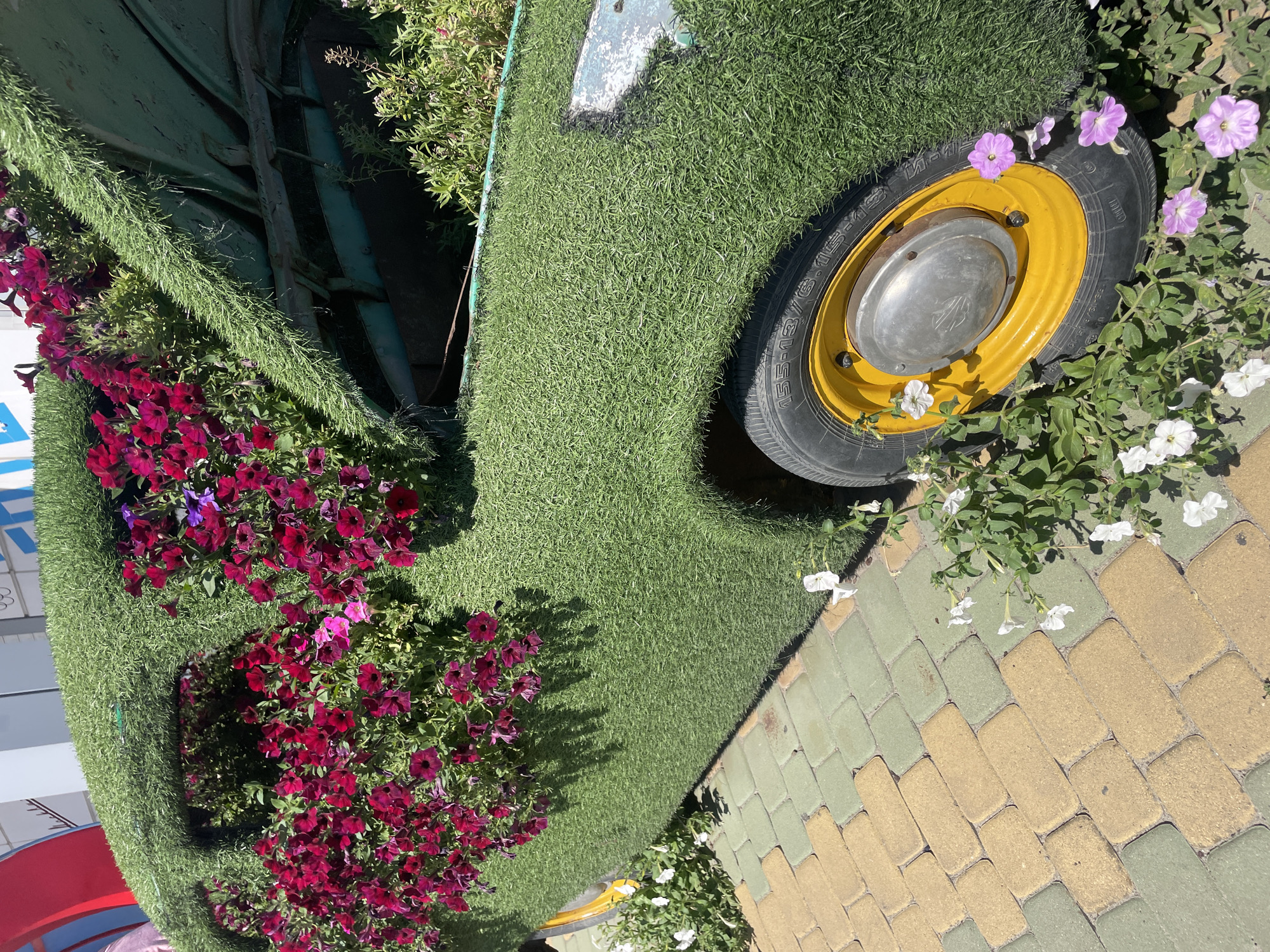 This image depicts a vintage car, likely a Lada or Moskvich model, artistically covered in artificial turf and adorned with numerous blooming petunias. The car is situated outdoors on a paved walkway made of alternating yellow and green rectangular pavers, characteristic of public spaces in Kamensk-Shakhtinsky, Russia. The car's bright yellow wheels and chrome hubcaps stand out against the green turf. The hood of the car is open, revealing more vibrant red and purple petunias spilling out, as well as some of the car's internal structure. White and purple petunias are also planted around the base of the car, extending onto the pavement. The scene is bathed in bright sunlight, casting shadows from the car and surrounding foliage. In the background, hints of buildings with signage and architectural elements suggest an urban or park-like setting within Kamensk-Shakhtinsky. There are no people visible in the image.