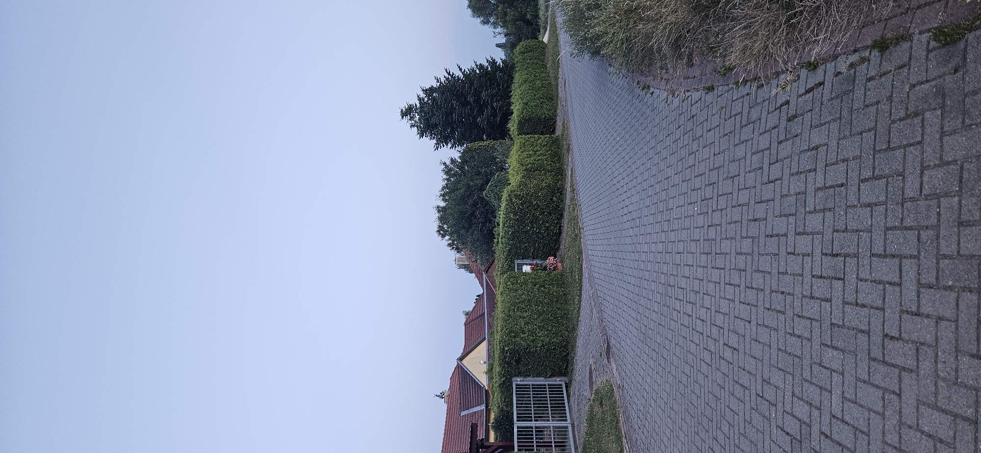 The image shows a paved road in a residential area. The road surface is made of interlocking gray concrete pavers laid in a herringbone pattern. The road curves to the right. On the left side of the road, there is a metal gate leading to a property with a house visible behind a thick green hedge. The house has a red tiled roof. Further along the hedge, there is another gate with a red flower pot and pink flowers. To the right of the road, there is dry grass and some smaller green plants. In the background, there are several trees, including a tall, dark green evergreen tree, and more houses with red roofs. The sky is a pale blue and appears to be clear. The scene suggests an early morning or late evening setting due to the soft, diffused light. The location is identified as being in Hévíz, Hungary.