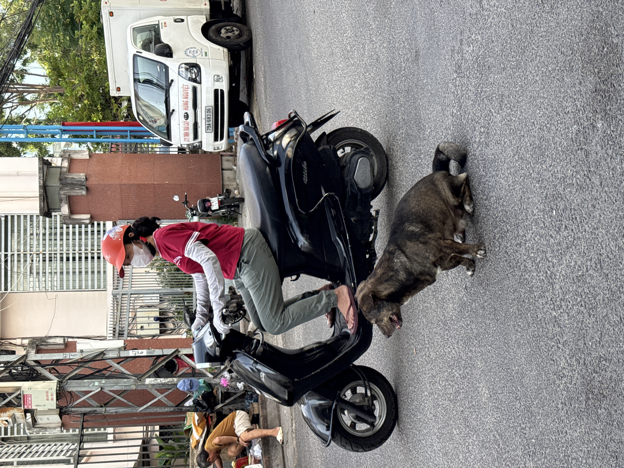 In Nha Trang, Vietnam, a woman wearing a red shirt, green pants, and a red helmet is riding a black scooter. She is also wearing a white mask and light-colored gloves. A brown and black dog is sitting on the asphalt in front of the scooter, looking to the left. In the background, a white truck is parked on the street, and a man in a tan shirt and white shorts is crouching by a pile of items. Buildings and trees are visible in the background.