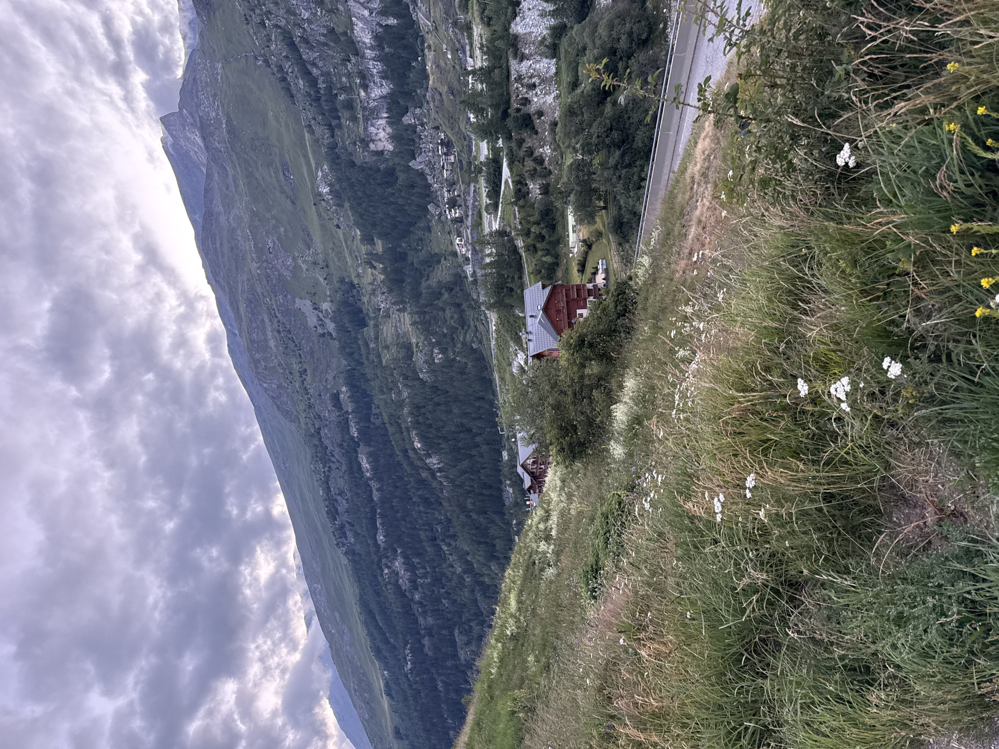 The image depicts a mountainous landscape with a winding road and several buildings. The foreground is dominated by tall, wild grass and small white wildflowers. In the mid-ground, a cluster of red buildings with dark roofs, appearing to be houses or chalets, is situated on a grassy slope. A road curves through the scene, with a metal guardrail visible alongside it. Beyond the buildings, the terrain rises steeply, covered in a dense forest of dark green pine trees, which gives way to rocky, sparsely vegetated slopes further up. The background features the imposing peak of a mountain under a cloudy sky. The location is identified as being in the city of Tignes, France.