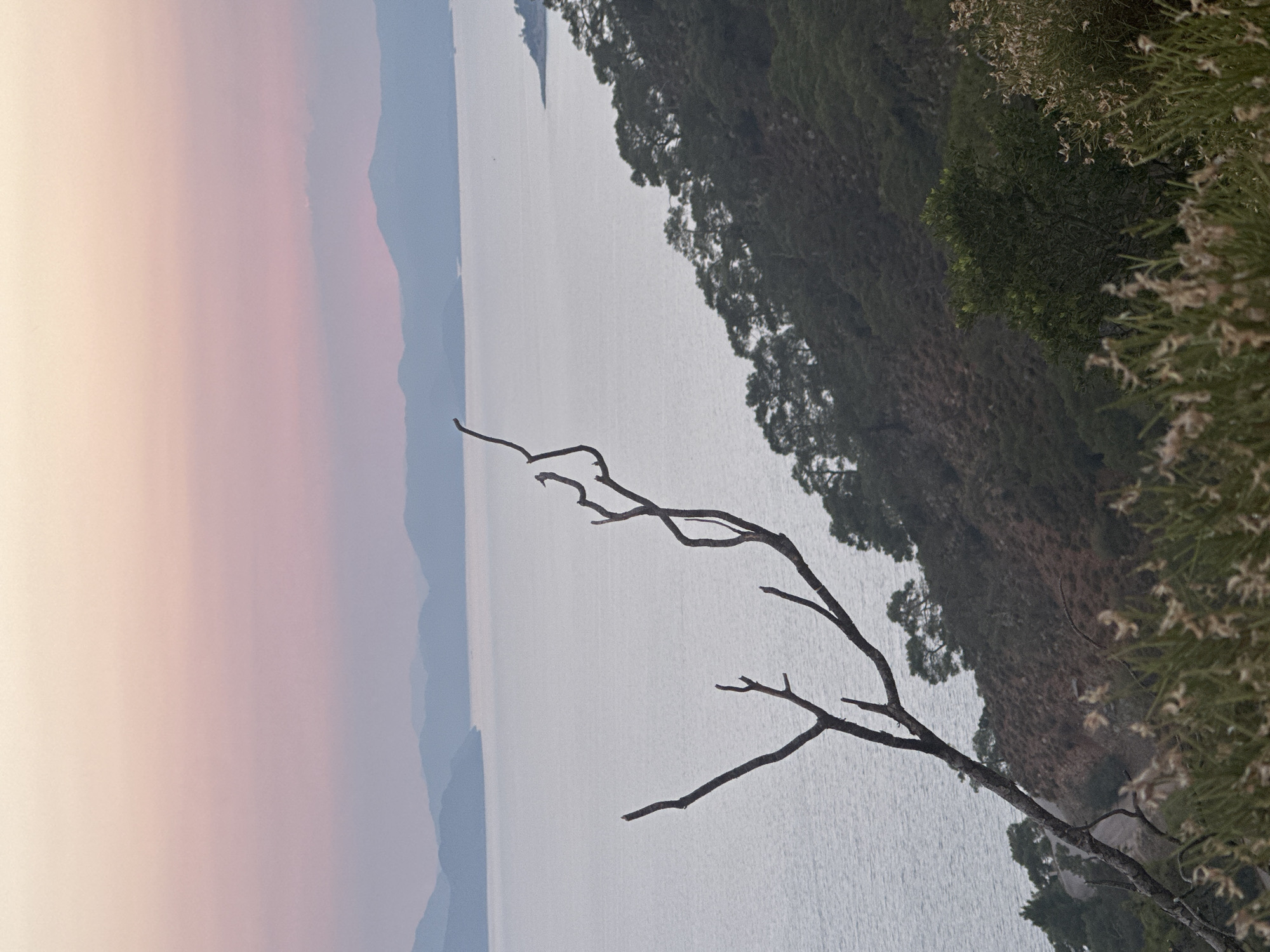 The image depicts a serene coastal landscape at dusk, likely in the vicinity of Fethiye, Turkey. The sky is painted with soft hues of pink and lavender, transitioning into a pale yellow at the horizon. In the foreground, a stark, bare tree branch extends diagonally across the frame, its silhouette sharp against the muted colors of the sky and sea.
The middle ground is dominated by a calm, expansive body of water, reflecting the soft light of the twilight. The water appears still, with gentle ripples indicating a tranquil atmosphere. Along the right side of the frame, a densely forested hillside slopes down towards the water. The trees are predominantly evergreen, with a rich green canopy that contrasts with the rocky, sparsely vegetated terrain visible beneath them. A winding road is faintly discernible on the hillside, hinting at human presence but not an immediate focal point.
In the distance, a series of layered mountain ranges recede into the haze, their forms softened by the atmospheric conditions of the evening. The overall impression is one of peace and natural beauty, characteristic of the Mediterranean coast. There are no people or animals visible in the image. The focus is entirely on the natural elements of the landscape.