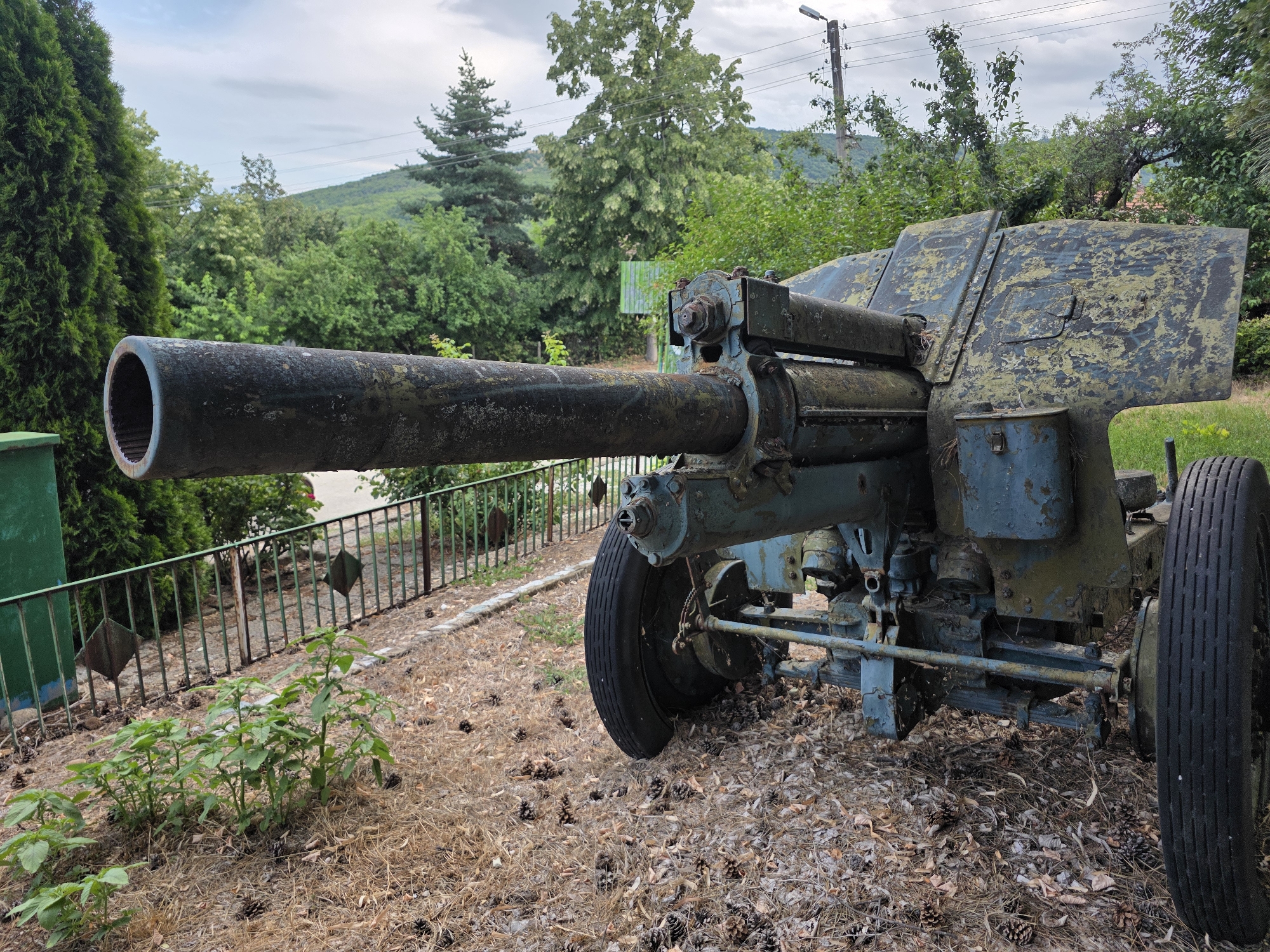 This is a medium-range, eye-level, outdoor shot of a weathered, decommissioned artillery piece. The cannon is painted a faded blue with patches of yellow and green camouflage, showing signs of rust and peeling paint. It is mounted on a wheeled carriage with a large, black tire visible on the right side. The cannon is angled to the left, with its barrel extending out of the frame. In the background, there is a lush green forest and a hilly landscape under a cloudy sky. A metal fence with diamond-shaped accents runs along the left side of the frame, separating the cannon from a path and some small green plants. Pine cones and dried leaves litter the ground around the artillery piece. The scene appears to be located in the city of Varbovchets, Bulgaria, likely in an outdoor exhibition or memorial area, given the context of decommissioned military equipment in a scenic, natural setting. There are no people or animals visible in the image.