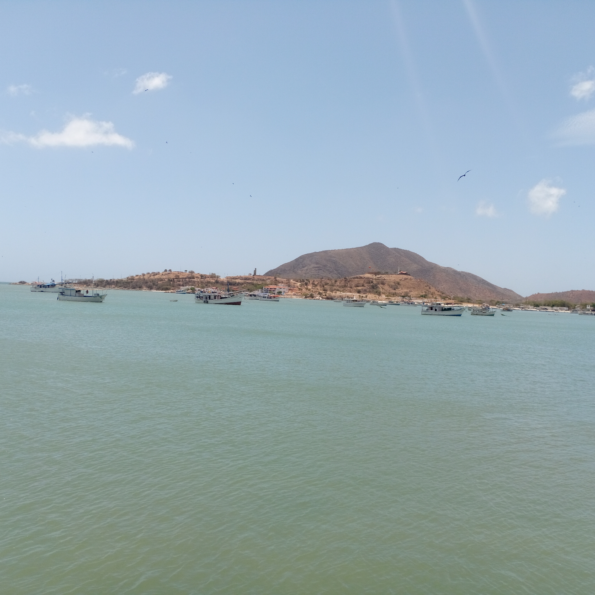 The scene depicts a body of water, likely a bay or harbor, dotted with numerous boats of varying sizes. In the background, a prominent, brown, arid hill or mountain rises from the shoreline. Sparse vegetation is visible on the mountain's slopes. At the base of the mountain, there appears to be a settlement or town, although details are indistinct. The sky is light blue with a few scattered clouds. A few birds are visible in the sky. The water appears calm, with subtle ripples on its surface. The overall impression is one of a coastal landscape with a mixture of natural and human elements. Location is Unknown, Unknown.