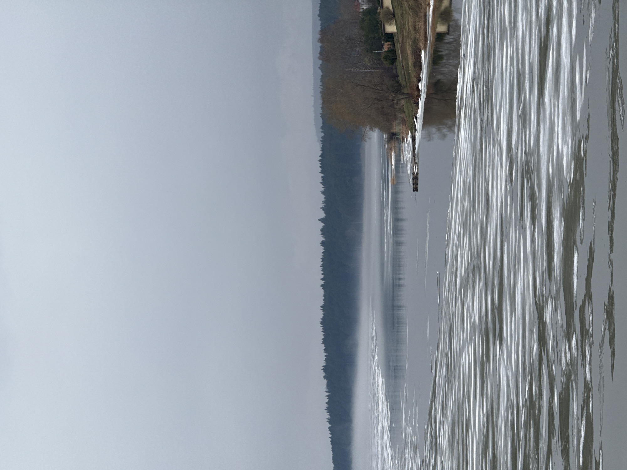 The image depicts a view of a body of water, likely a lake or river, under overcast skies. A dense forest lines the opposite shore, with hints of structures along the closer shoreline. The water's surface reflects the sky and surrounding landscape, creating elongated streaks of light and dark. The location appears to be in a natural or semi-rural setting. Specific landmarks or details to identify the location as Votkinsk, Russia, are not evident. More granular detail, such as specific building features, signage, or other unique identifiers, would be needed to pinpoint the exact location within Votkinsk. There are no people or subjects present.