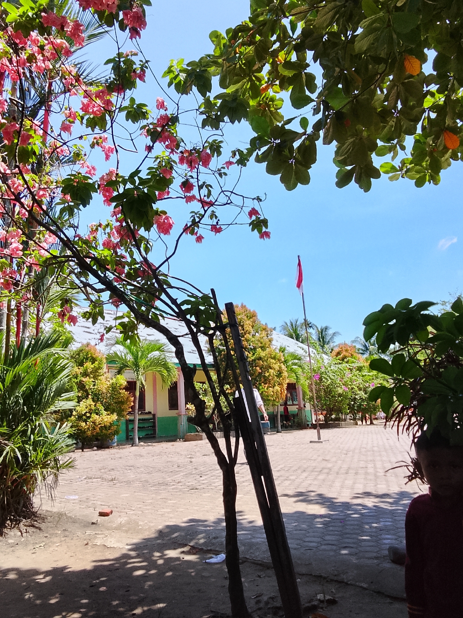 The image depicts an outdoor scene at what appears to be a school or community area in Baratpayaitek, Indonesia. The foreground is dominated by the dappled shadows of trees and branches from flowering trees with pink blossoms on the left and leafy green trees on the right. In the middle ground, a light-colored building with a green and pink facade stands behind a paved courtyard. A flagpole with a red and white Indonesian flag is visible to the right of the building, against a clear blue sky. Several palm trees and other green foliage are scattered throughout the scene. The ground is a mix of dirt and hexagonal paving stones. In the far right of the image, a person, partially obscured by shadow, is visible.