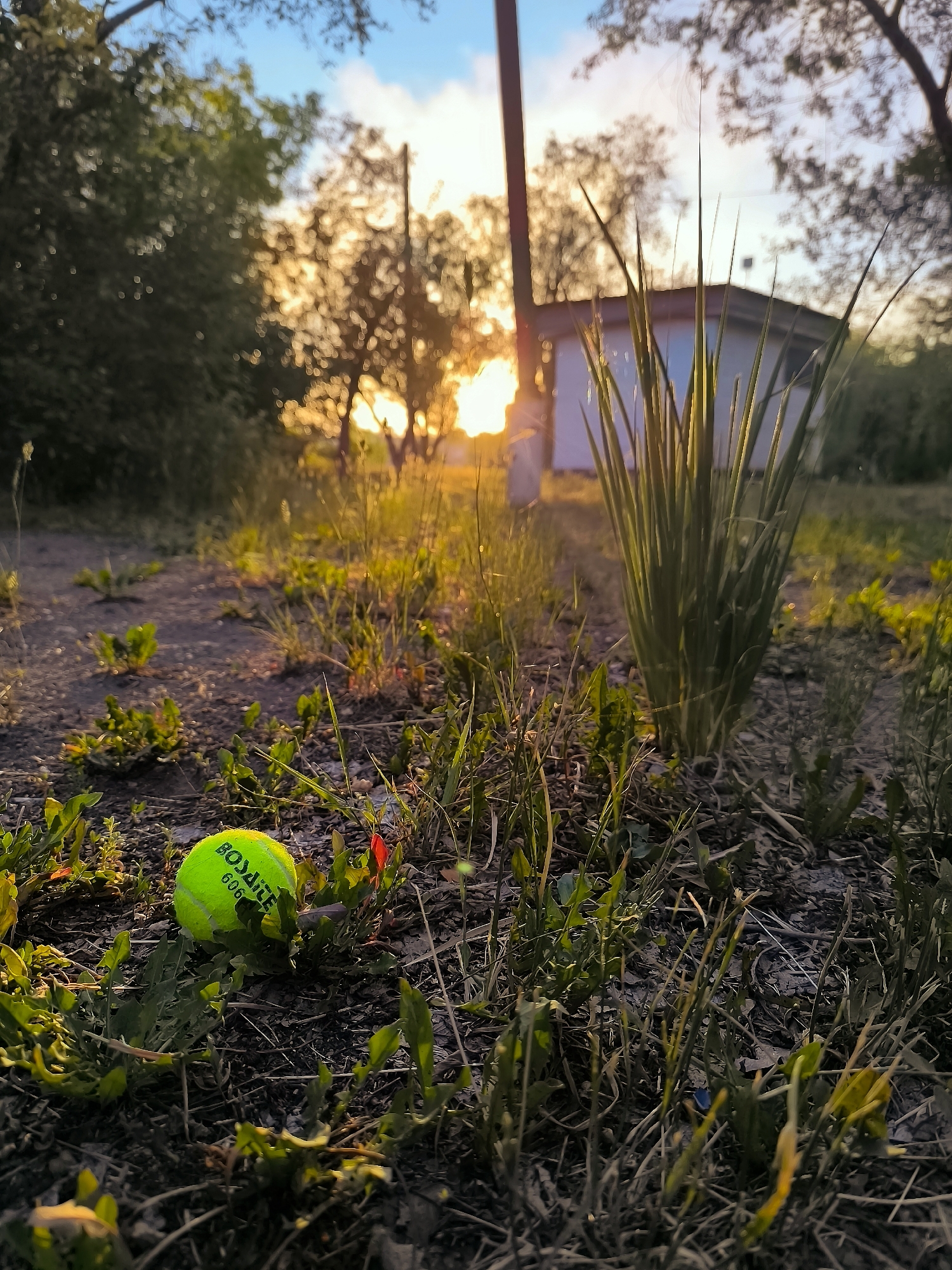 A low-angle, wide shot captures a bright yellow tennis ball resting on the ground amidst sparse green vegetation and dry soil. The ball is positioned to the left of the frame and displays the brand "BONAIRE" and the number "606" in dark lettering. The background is blurred, revealing a white, rectangular building with a dark roof, a tall, thin pole, and the silhouettes of trees against a golden sunset sky. The scene appears to be outdoors, possibly in a park or a rural setting, with sunlight casting a warm glow. There are no people visible in the image. The location in the city of Qarağandı, Kazakhstan is not discernible from the visual information provided.