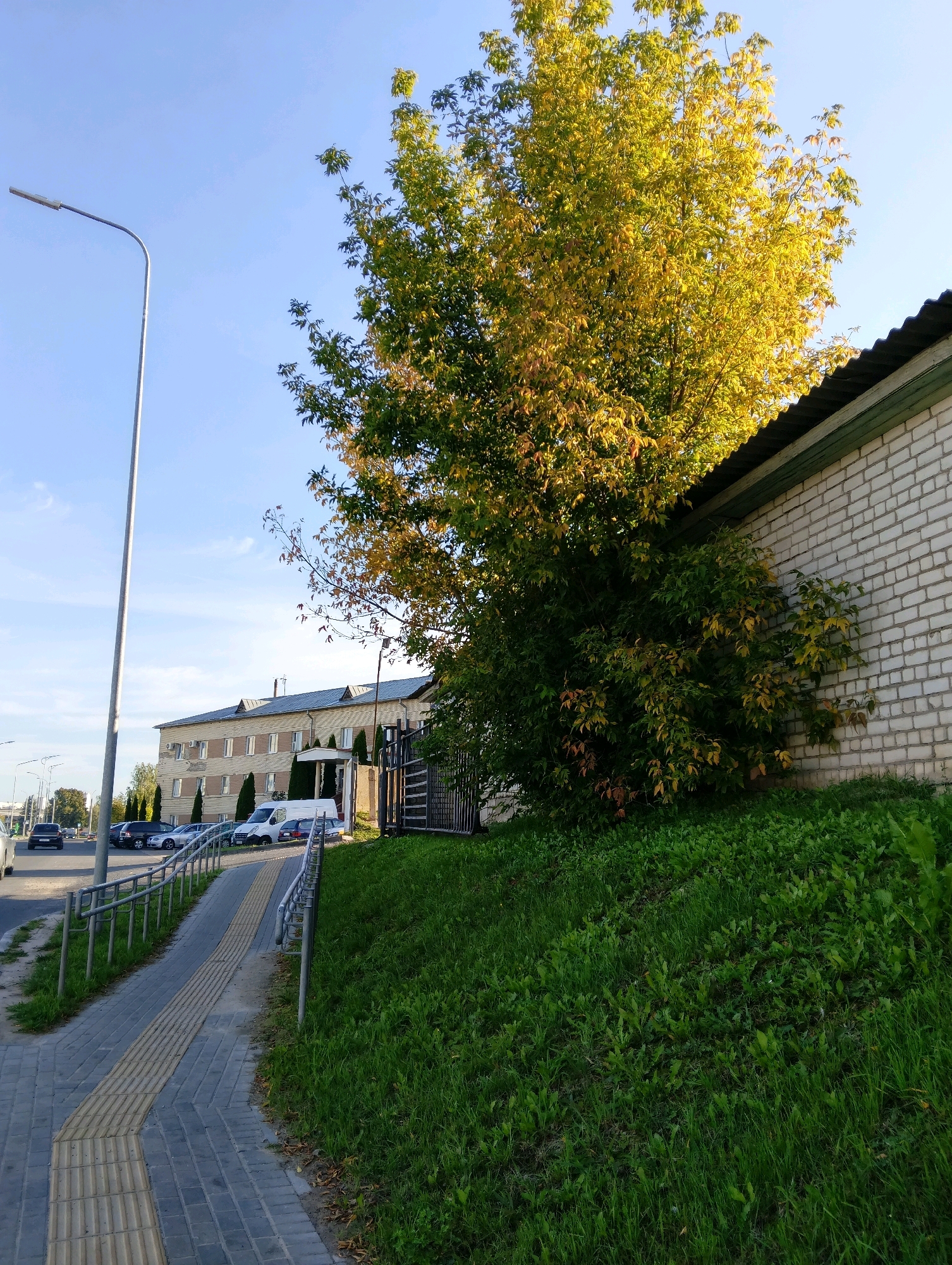The image depicts an exterior view of a building and its surroundings in Hrodna, Belarus. On the right, a brick building with a dark-tiled roof and a light green trim is visible. Adjacent to the building, a large tree with yellowing leaves stands prominently. The ground slopes upwards towards the building, covered in lush green grass. To the left of the tree and building is a paved sidewalk with tactile paving, indicating accessibility features. A metal railing lines the sidewalk. Beyond the sidewalk, a street is visible with parked cars and vehicles in motion. Further in the background, another building, appearing to be a multi-story office or residential structure, can be seen. A lamppost stands tall on the left side of the image, illuminating the scene. The sky is clear and blue. The overall impression is that of an urban environment during autumn.