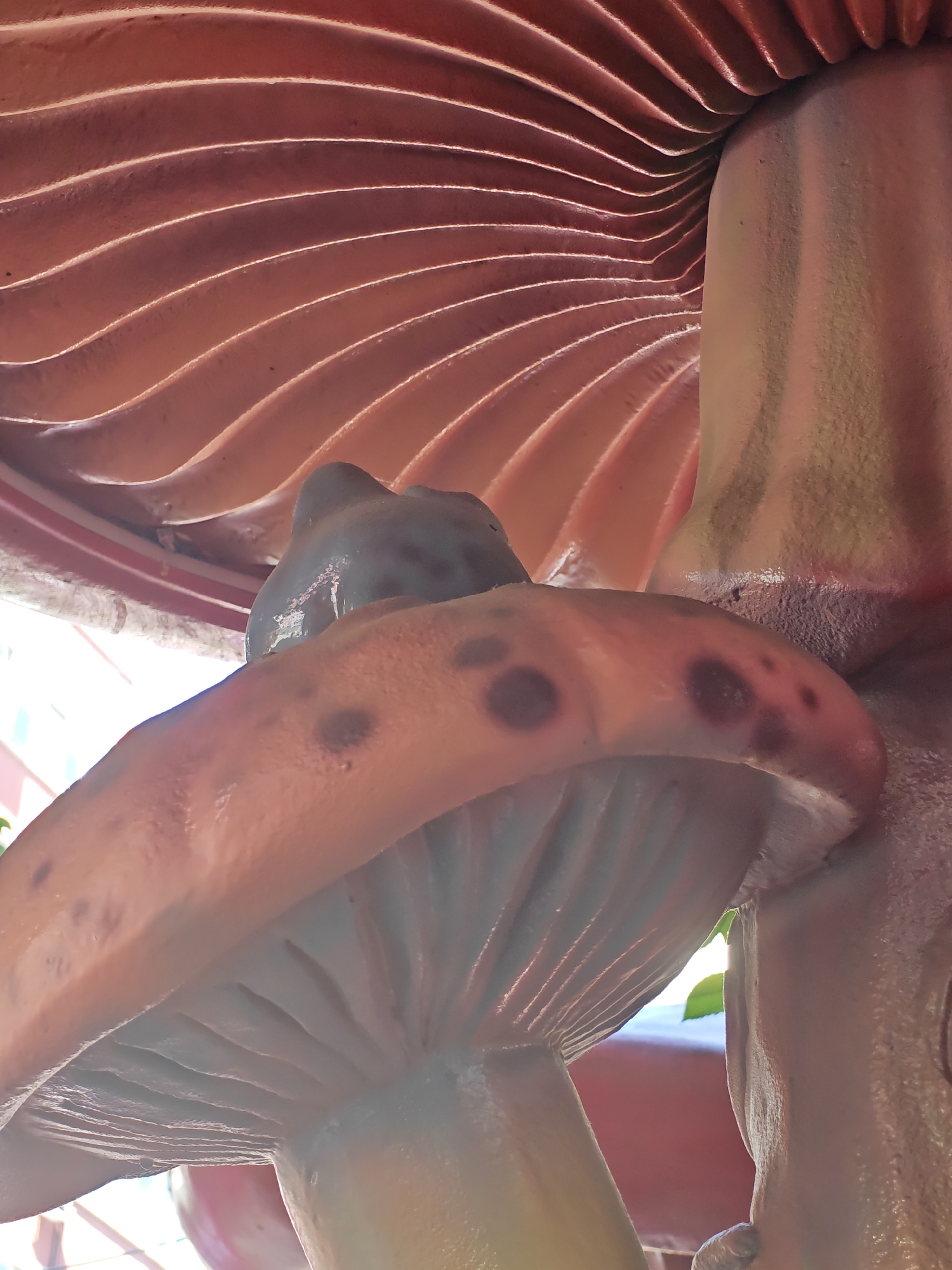 A close-up, low-angle shot captures a section of a large, stylized mushroom sculpture. The underside of the mushroom cap displays prominent, wavy gills in a peachy-pink hue, with a few darker, irregular spots on the cap's surface. A portion of the mushroom's stem is visible to the right, appearing textured and lighter in color. The background, viewed through a gap between the cap and stem, is out of focus and shows hints of sunlight, foliage, and possibly a building structure, suggesting an outdoor urban setting. The sculpture is located in the playground of the "Happy House" kindergarten, which is situated at 27, Prof. Ivan Georgov Street, in the city of Sofia, Bulgaria.