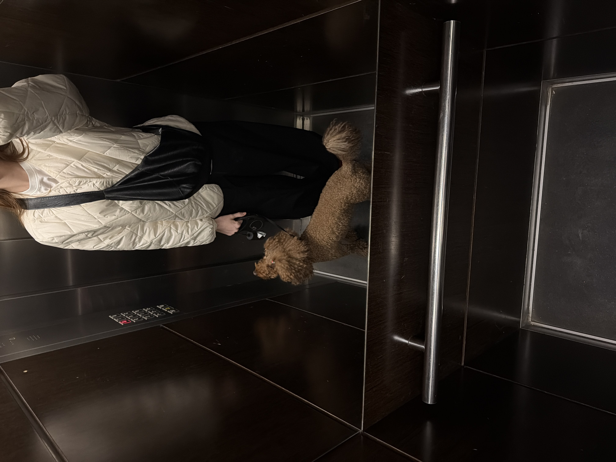 A woman wearing a white puffer jacket, black pants, and carrying a black shoulder bag is standing in an elevator with a brown poodle. The elevator has a dark wood interior, a silver control panel, and a stainless steel handle on the right. A mirrored surface is visible on the right side of the elevator. The location is not discernible as being in Boreti, Montenegro, based on the image provided.