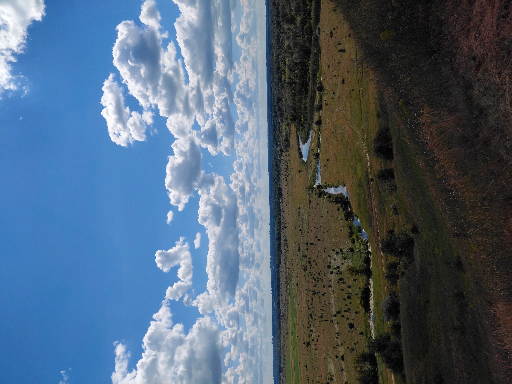 The image is an outdoor, panoramic view of a rural landscape under a partly cloudy sky. The scene appears to be a valley with a winding river and a mix of grassland, scattered shrubs, and a distant treeline. The foreground shows a grassy slope. The sky is a vibrant blue with scattered white cumulus clouds. The overall impression is one of natural beauty and open space, characteristic of a rural area like Ustyvytsia, Ukraine. There are no people, animals, or specific man-made structures clearly visible in the image. The light suggests it is daytime, likely mid-morning or afternoon, with the sun casting shadows that define the contours of the land. The colors are natural, with greens and browns dominating the land and a bright blue in the sky.