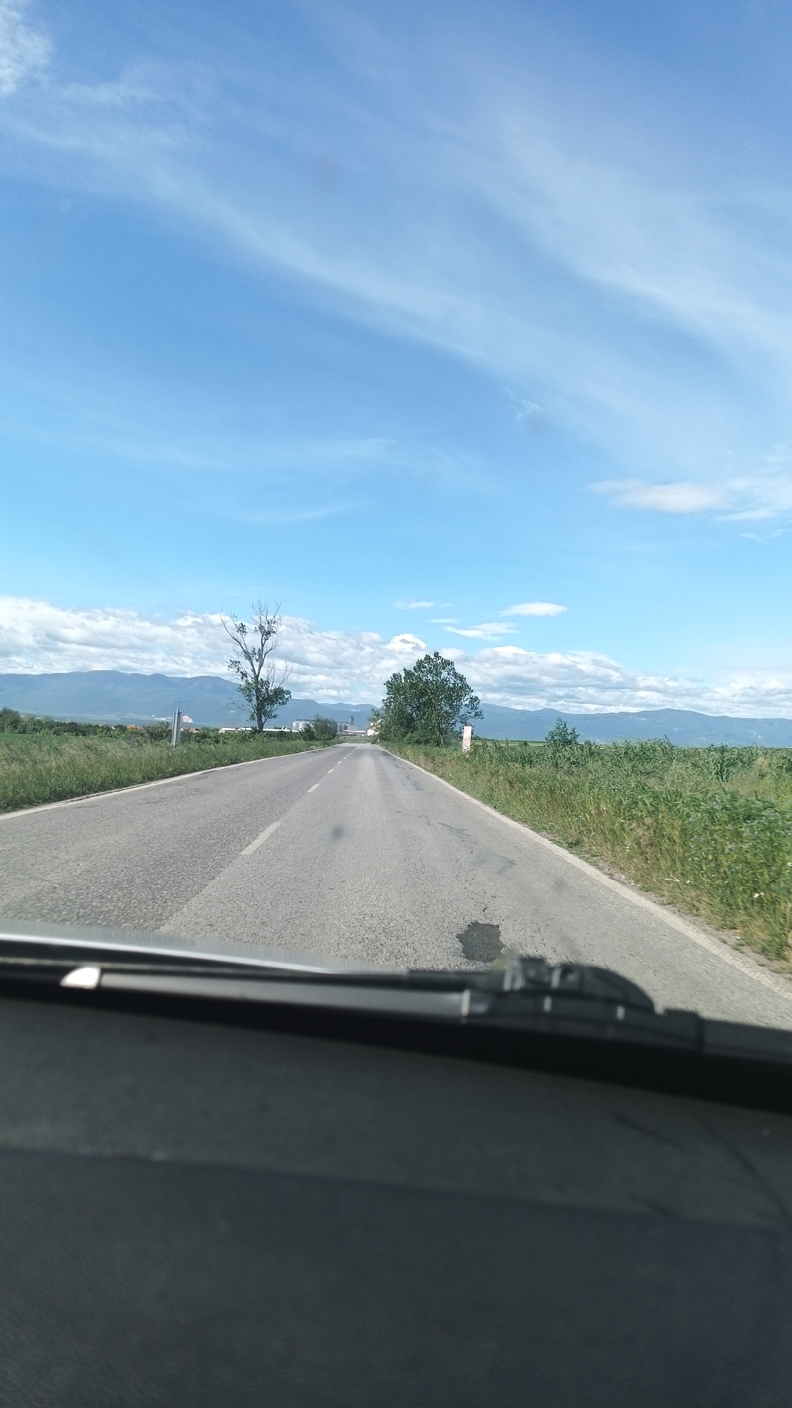 The image depicts a view from inside a vehicle driving on a paved road in Bogdanitsa, Bulgaria. The road stretches into the distance, flanked by green fields and vegetation. Two prominent trees stand along the roadside, one partially bare and the other fully leaved. In the background, a mountain range is visible under a blue sky with scattered clouds. A dark dashboard and windshield wipers are visible in the foreground, indicating the viewpoint is from within the vehicle.