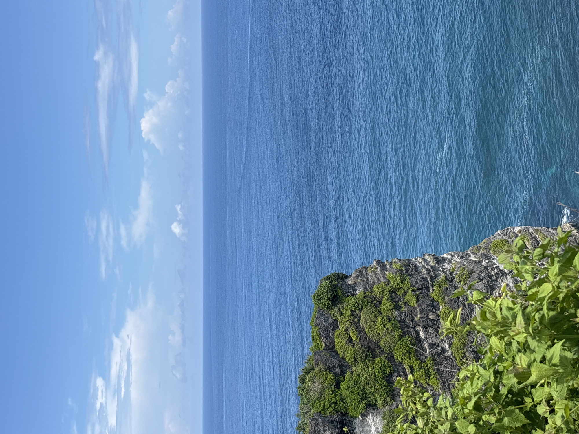 The image depicts a view from a cliff in Uluwatu, Indonesia. The primary elements are the sky, the ocean, and the cliff edge. The sky is blue with scattered white clouds. The ocean extends to the horizon, displaying a consistent blue hue with subtle wave patterns. The cliff edge is covered in green vegetation, with some overhanging plants closer to the foreground. The photograph appears to be taken during the daytime under natural lighting.